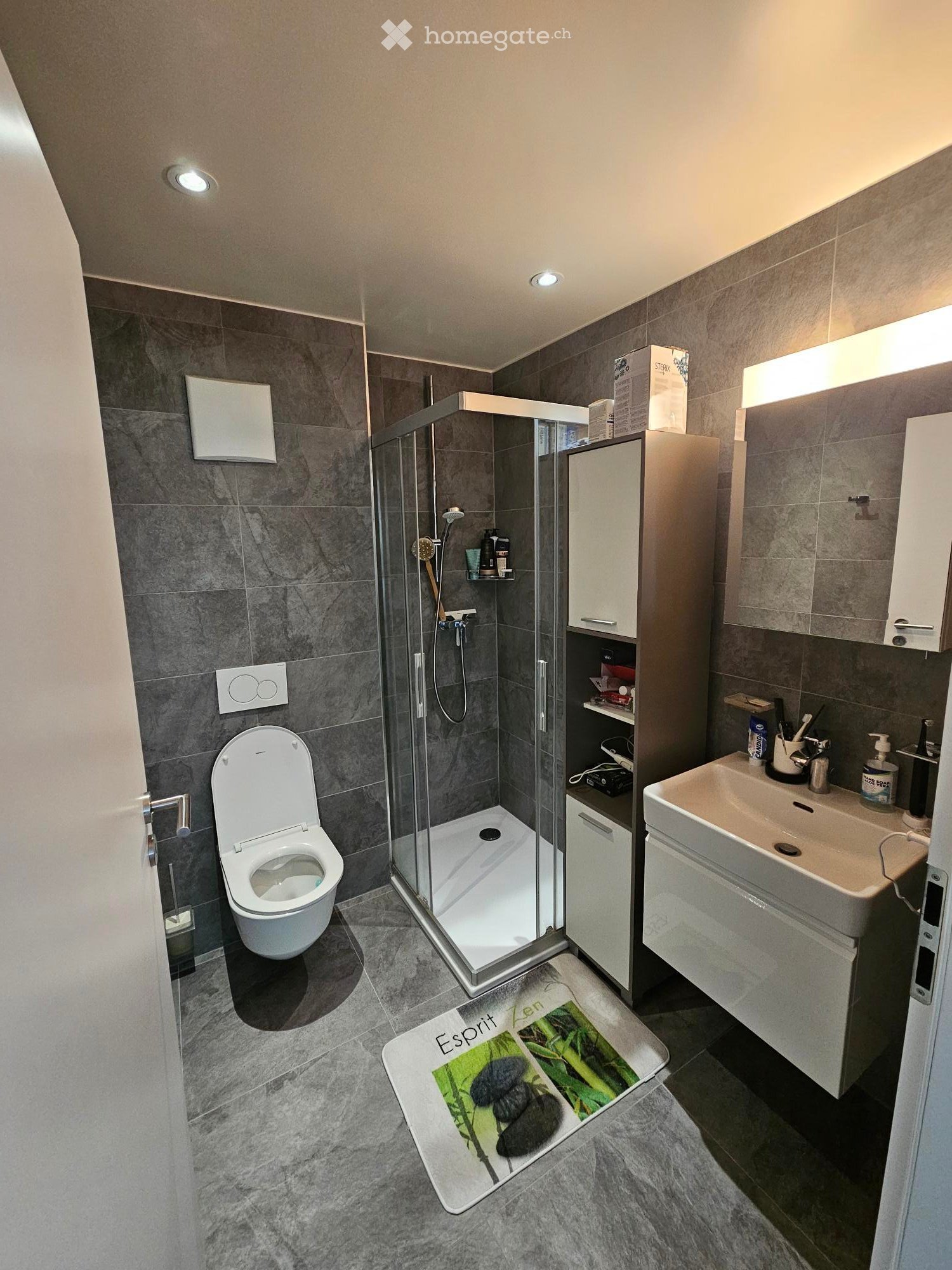 3 ½ rooms apartment, photo 2 sur 5