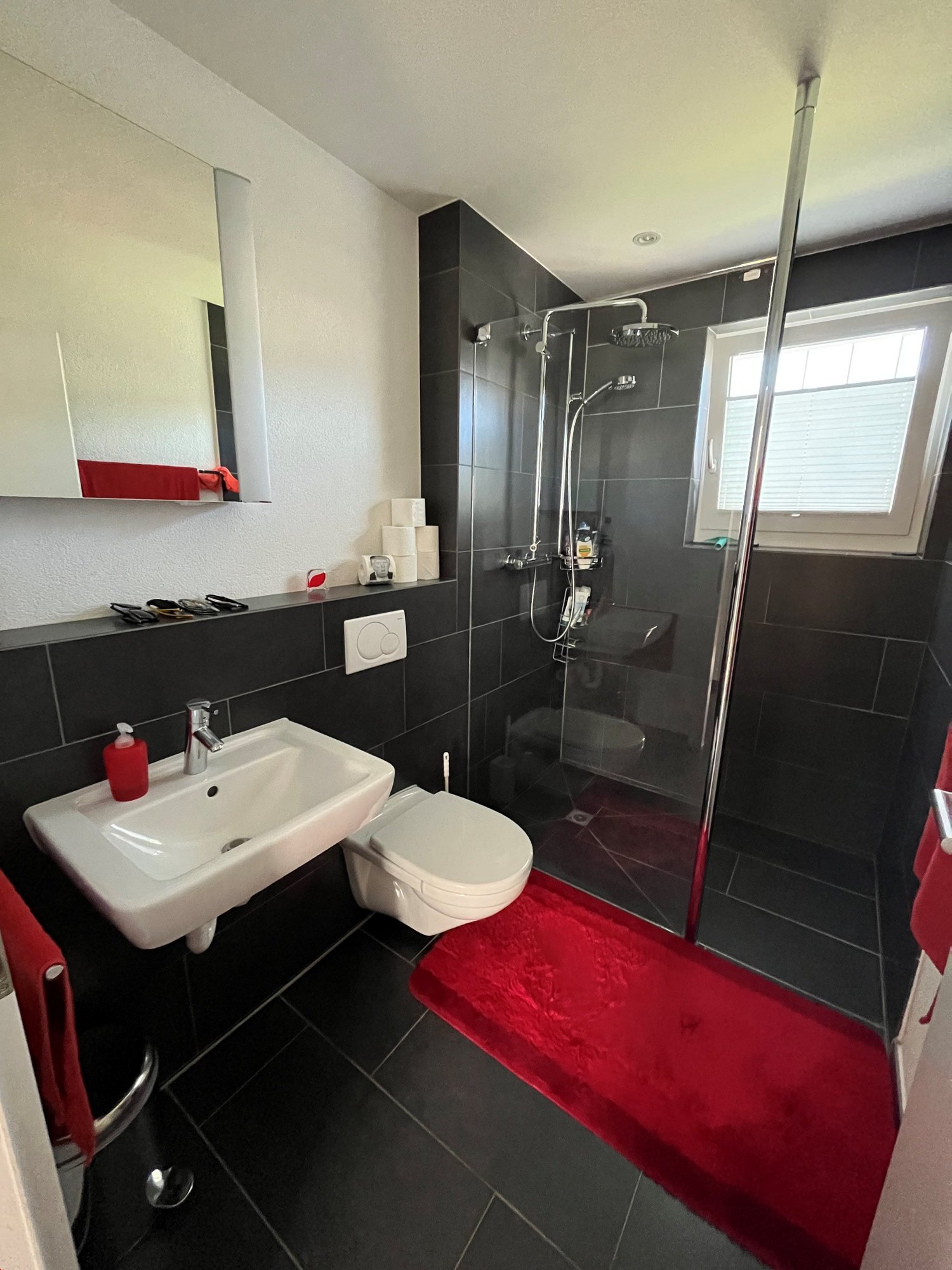 Maison individuelle de 5 ½ pièces, photo 10 sur 10