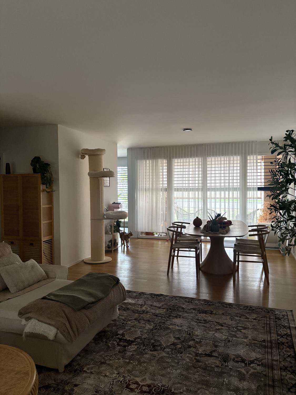 Chambre en colocation, photo 9 sur 10