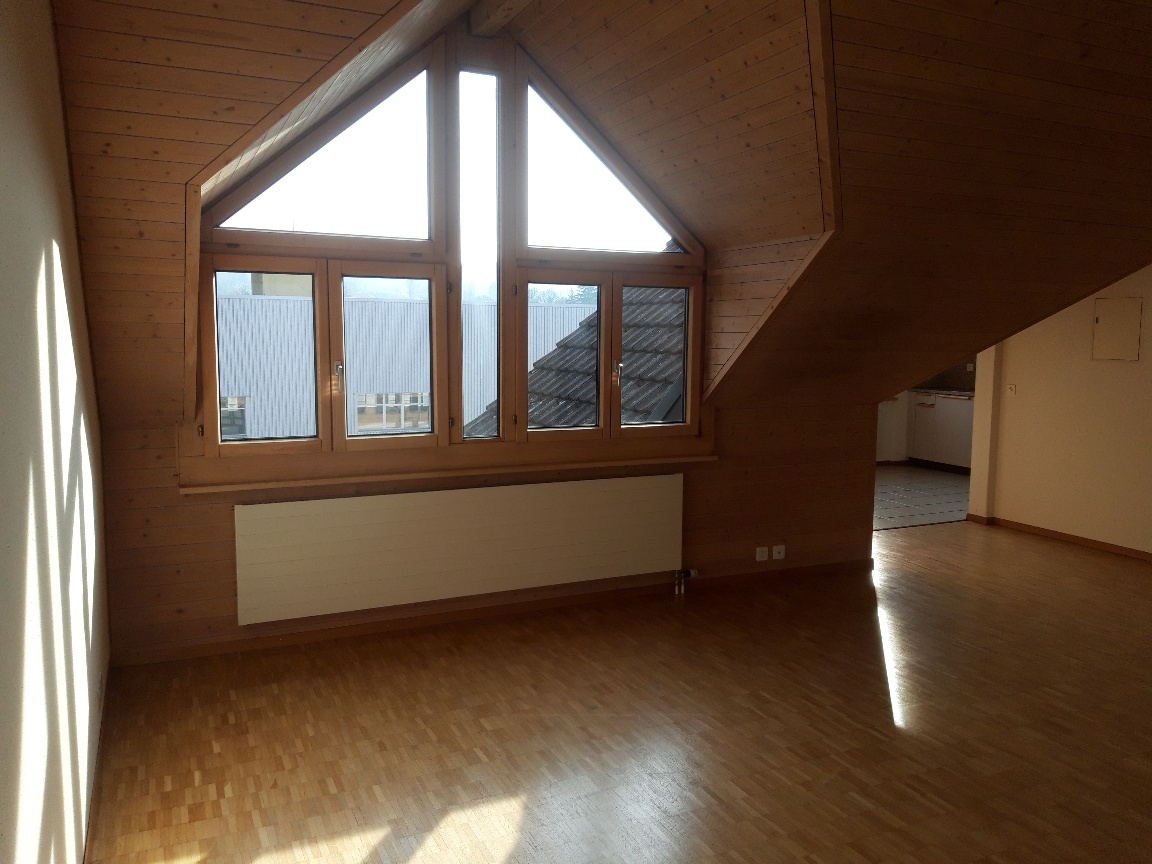Appartement de 1 ½ pièce sous les combles, photo 5 sur 10