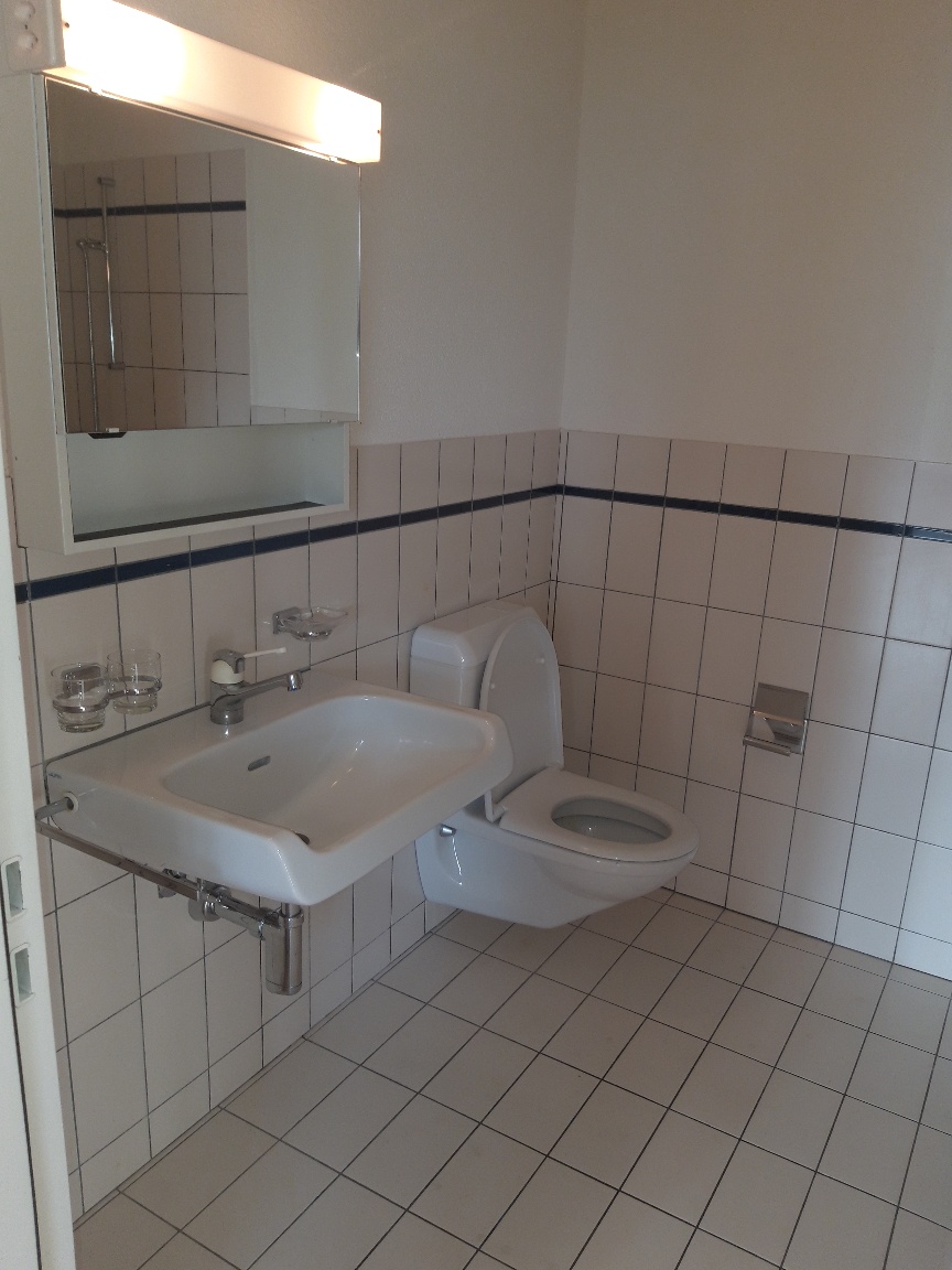 Appartement de 1 ½ pièce sous les combles, photo 3 sur 10