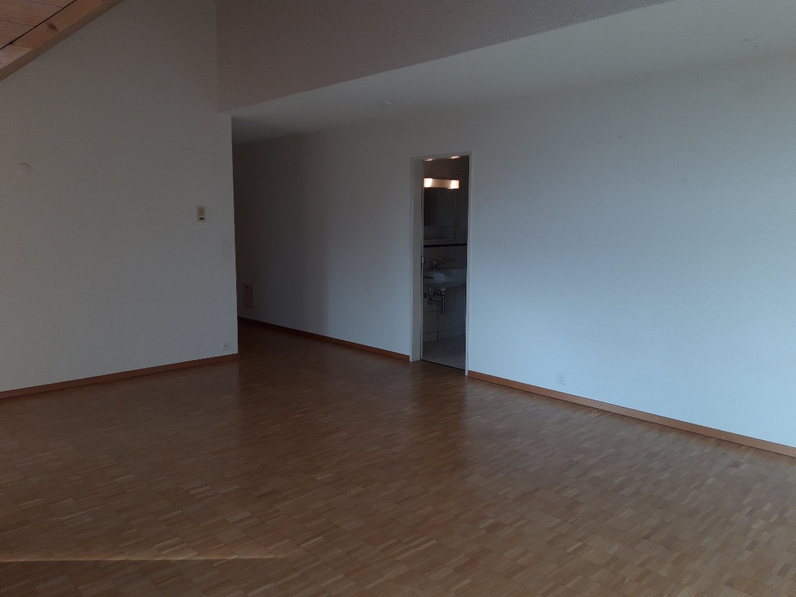 Appartement de 1 ½ pièce sous les combles, photo 7 sur 10