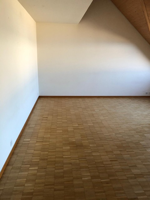 Appartement de 1 ½ pièce sous les combles, photo 9 sur 10