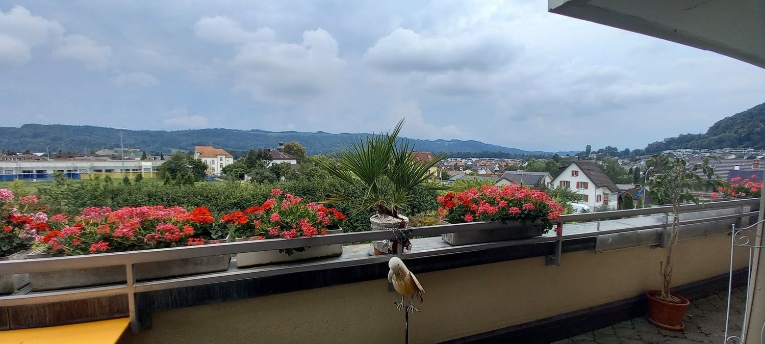Appartement meublé de 3 ½ pièces