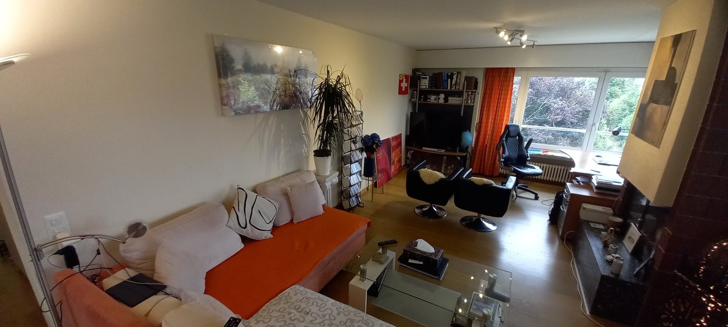 Appartement meublé de 3 ½ pièces