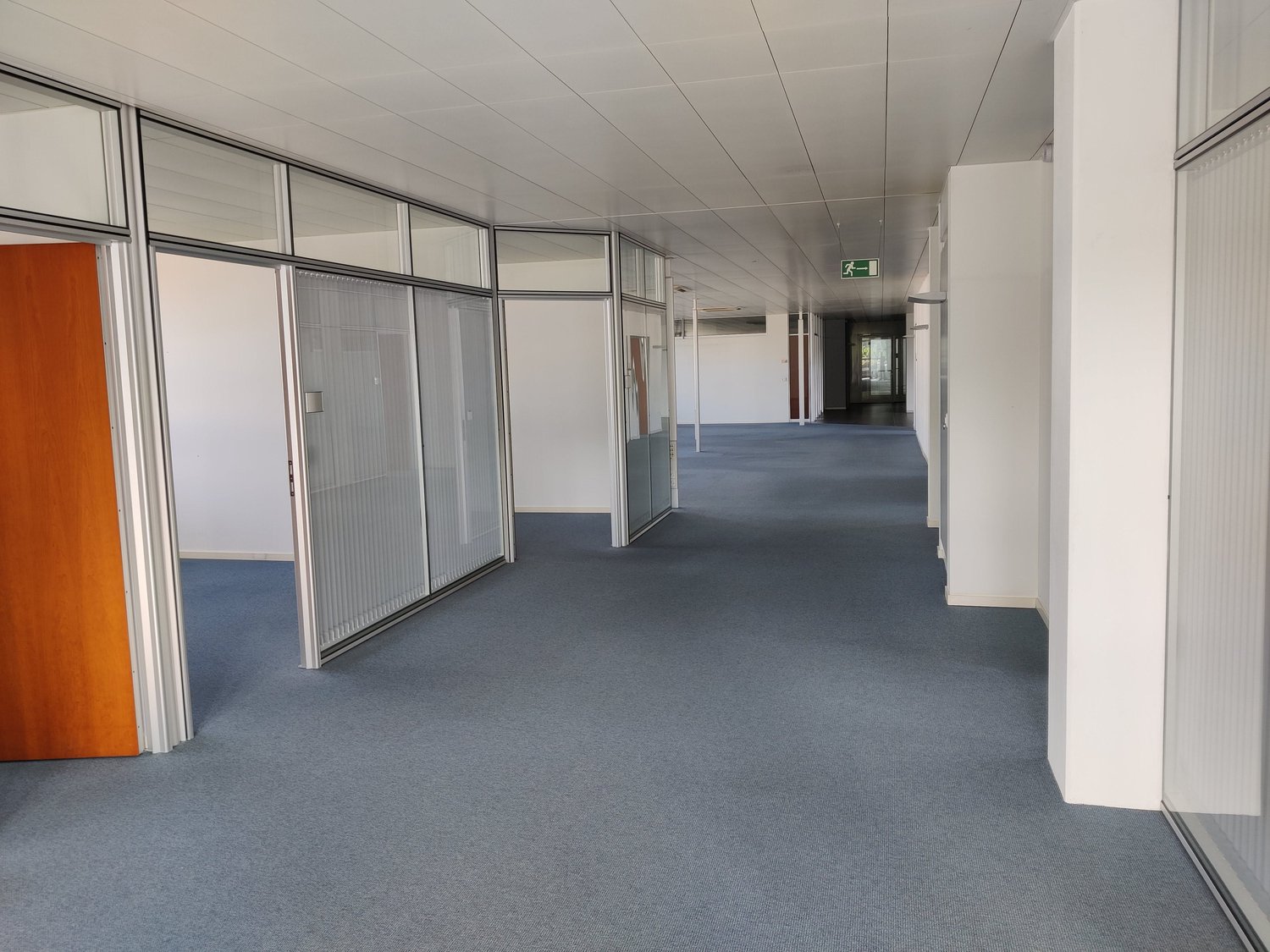 488m² bureau, photo 4 sur 5