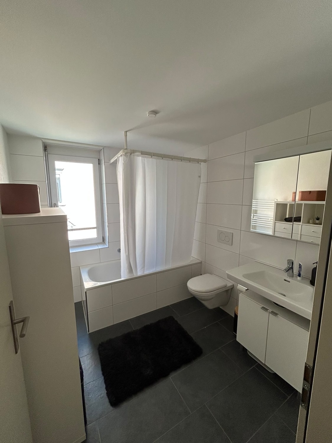 Appartement de 3 ½ pièces