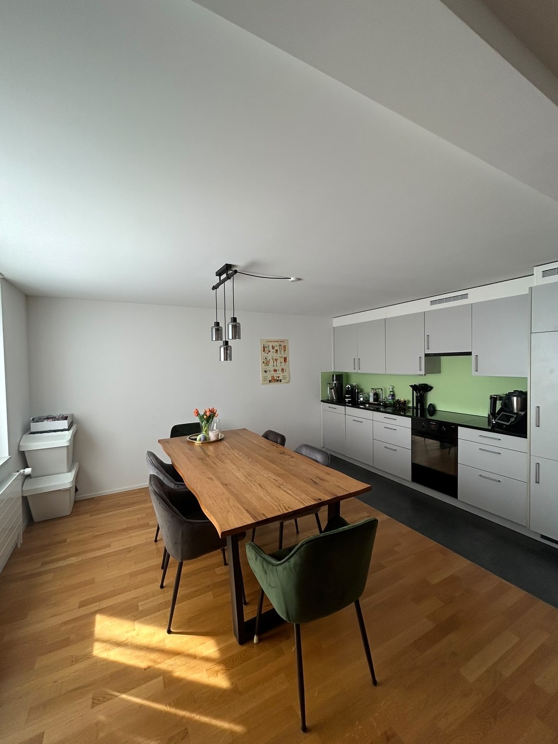 Appartement de 3 ½ pièces
