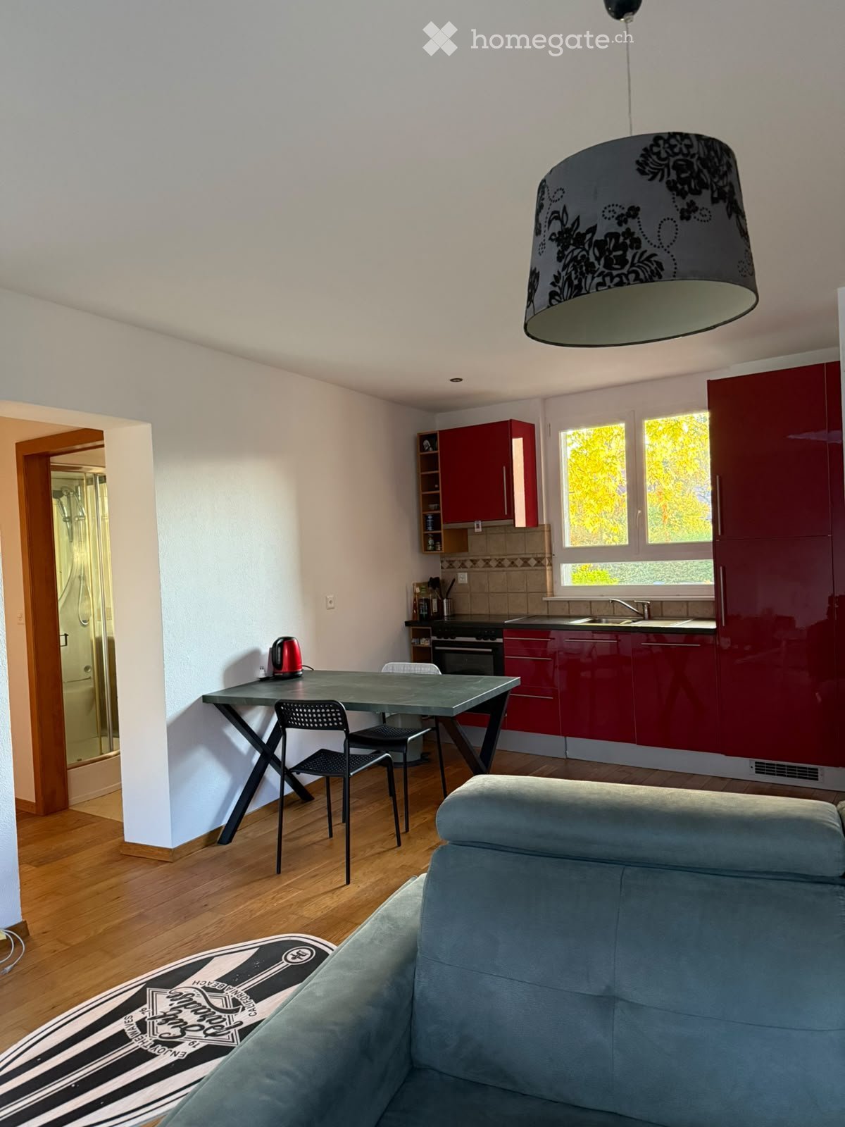 3 ½ rooms apartment, photo 3 sur 5