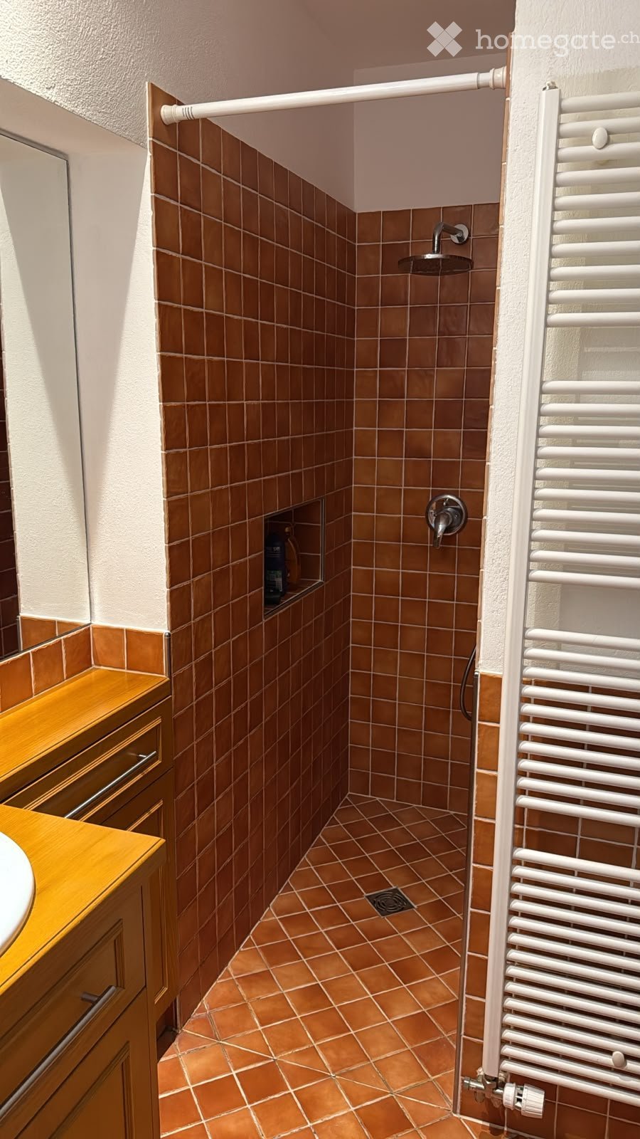 3 ½ rooms apartment, photo 5 sur 5