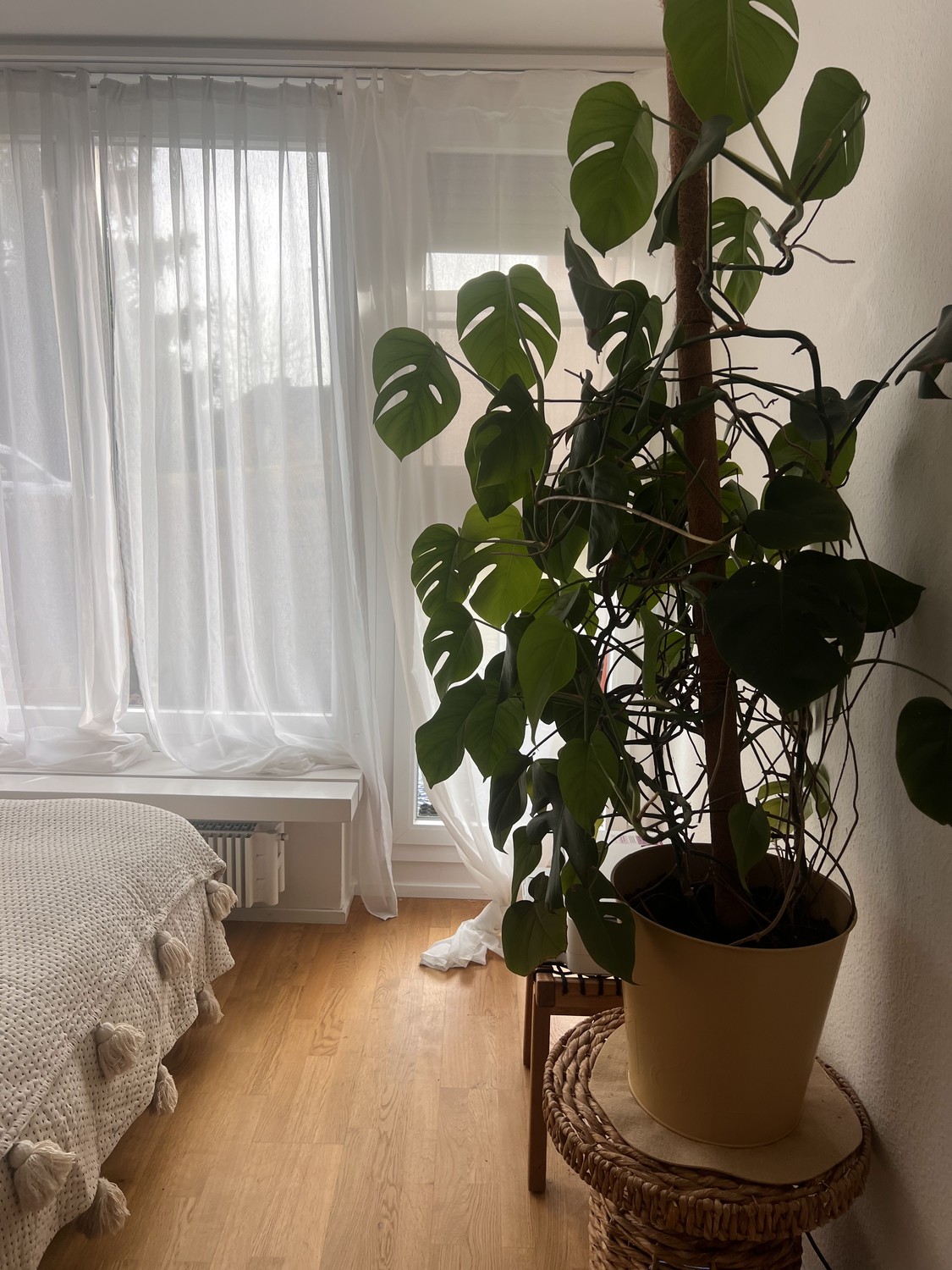 Appartement de 1 ½ pièce, photo 5 sur 7