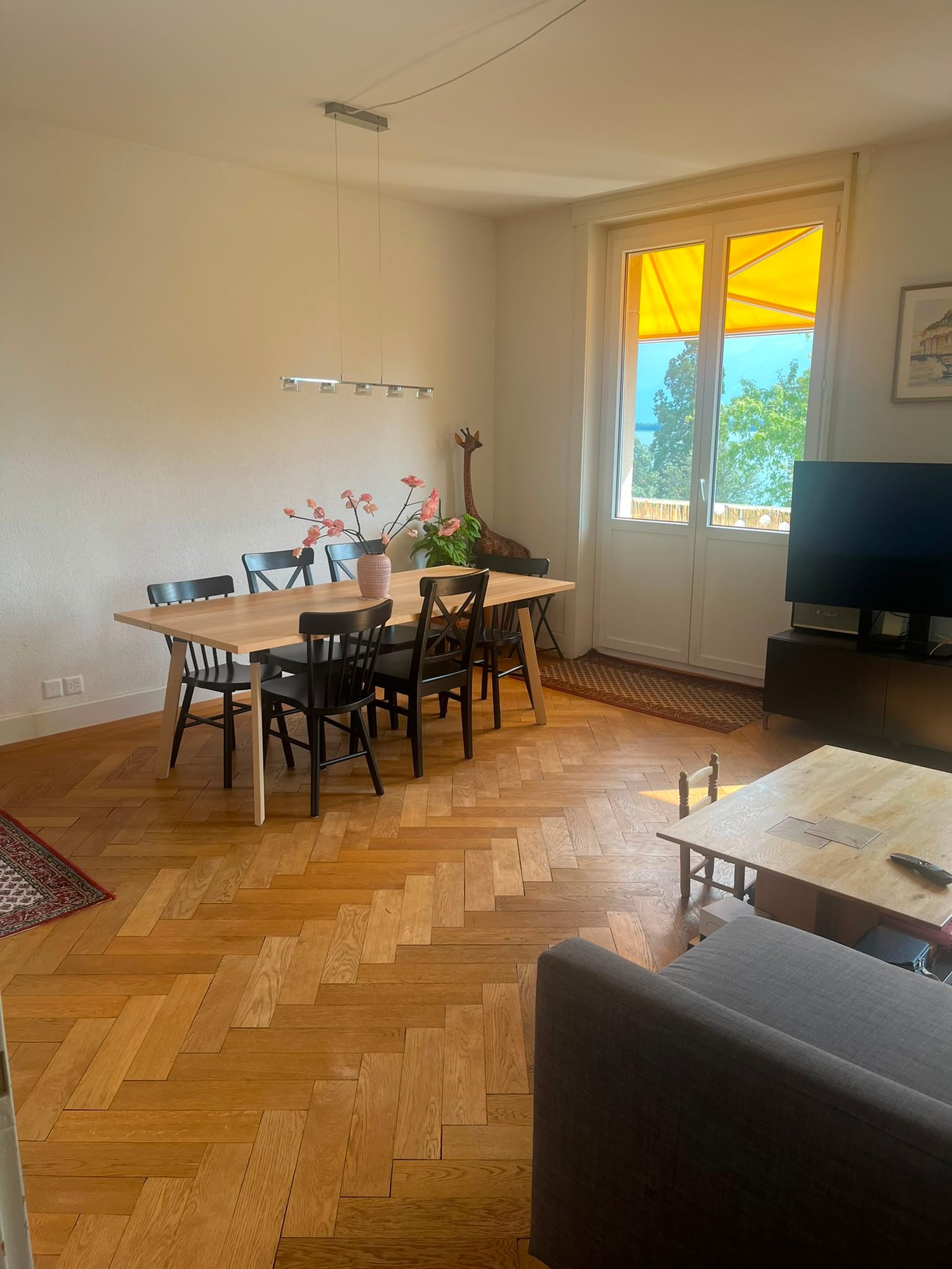 2 ½ rooms apartment, photo 3 sur 10
