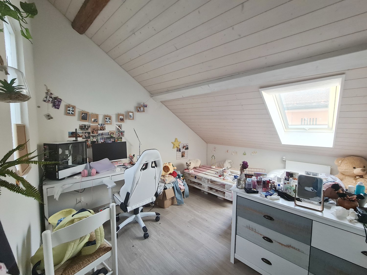 3 ½ rooms roof flat, photo 5 sur 8