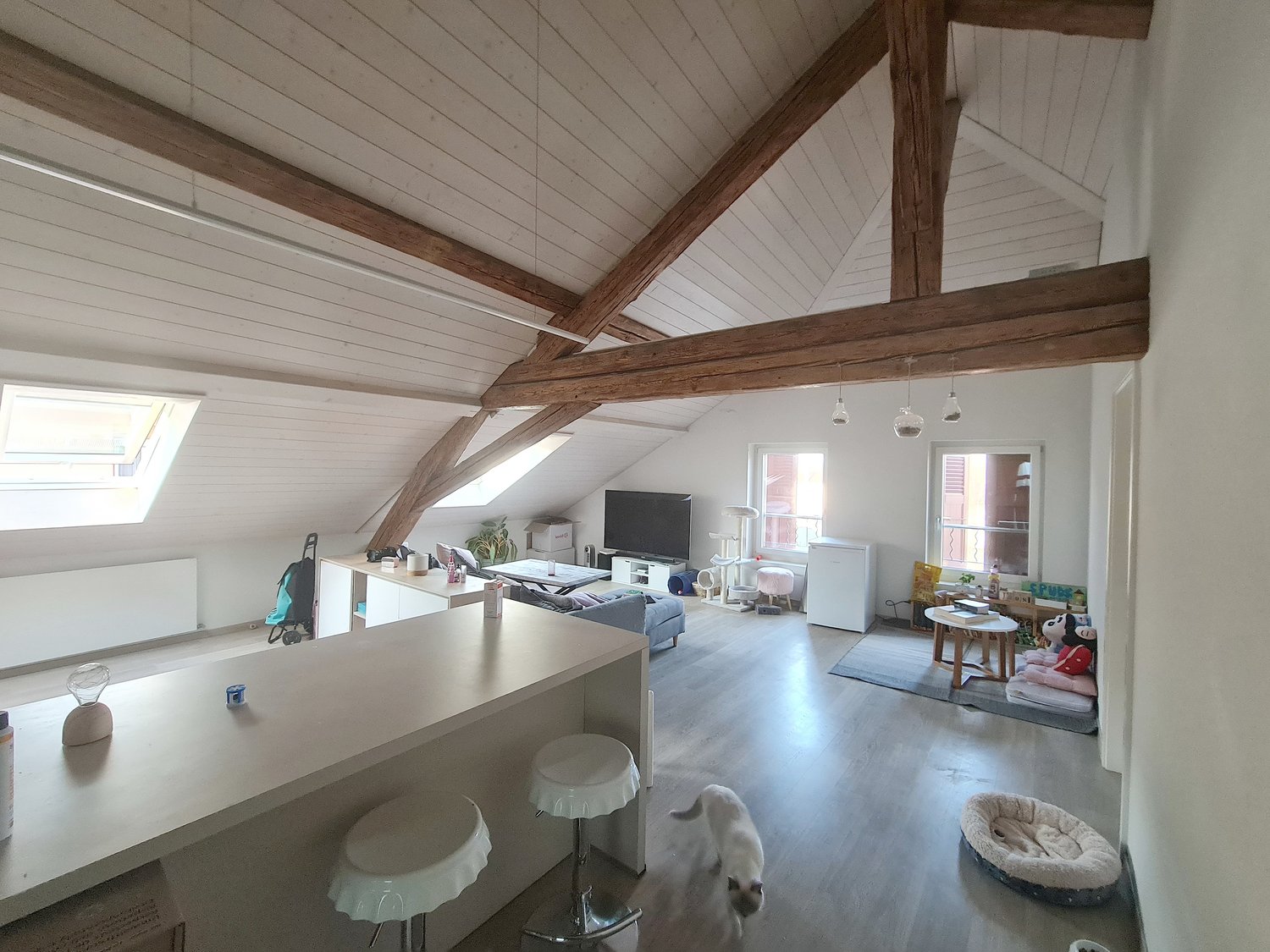 3 ½ rooms roof flat, photo 2 sur 8
