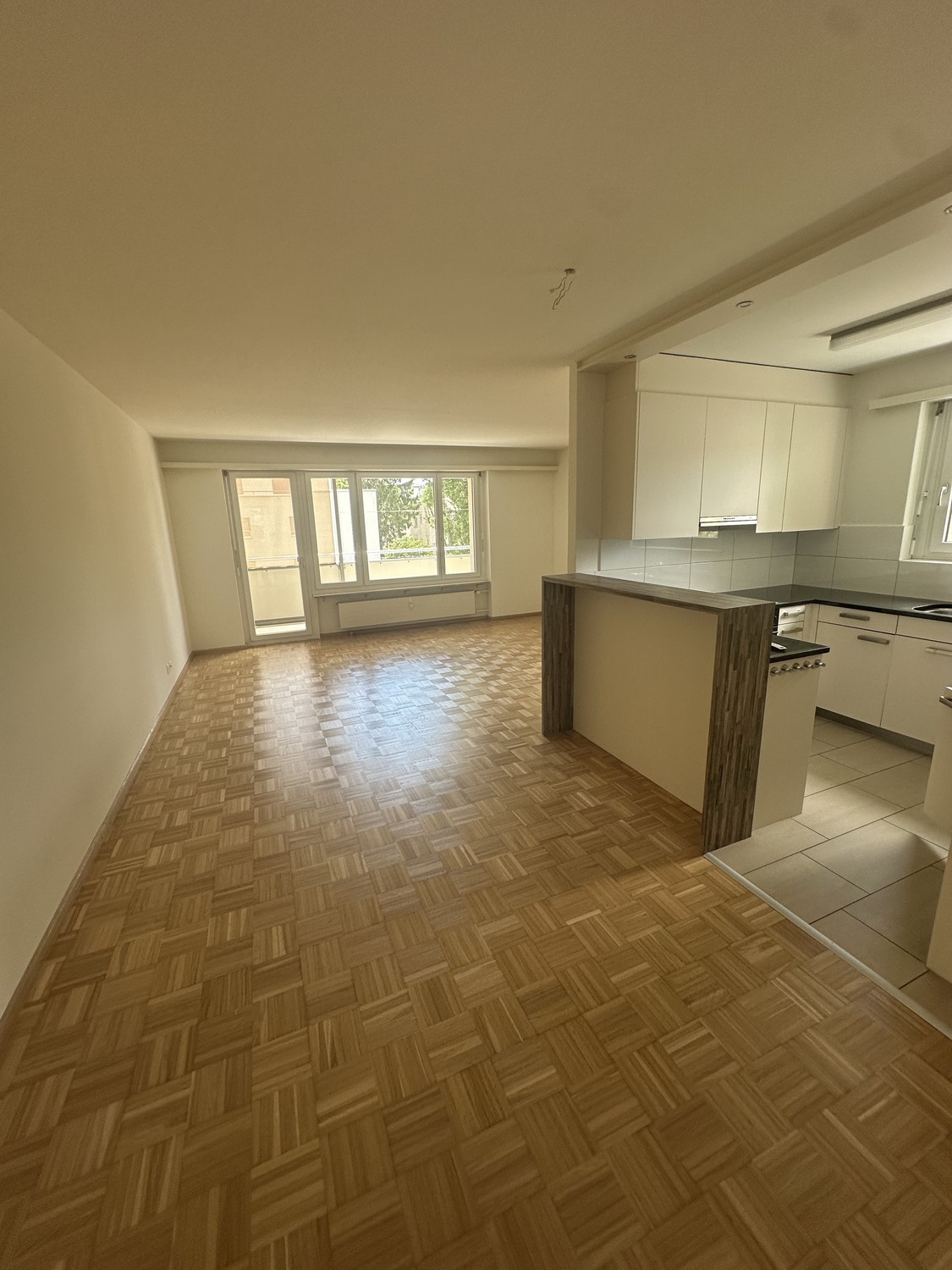 4 ½ rooms apartment