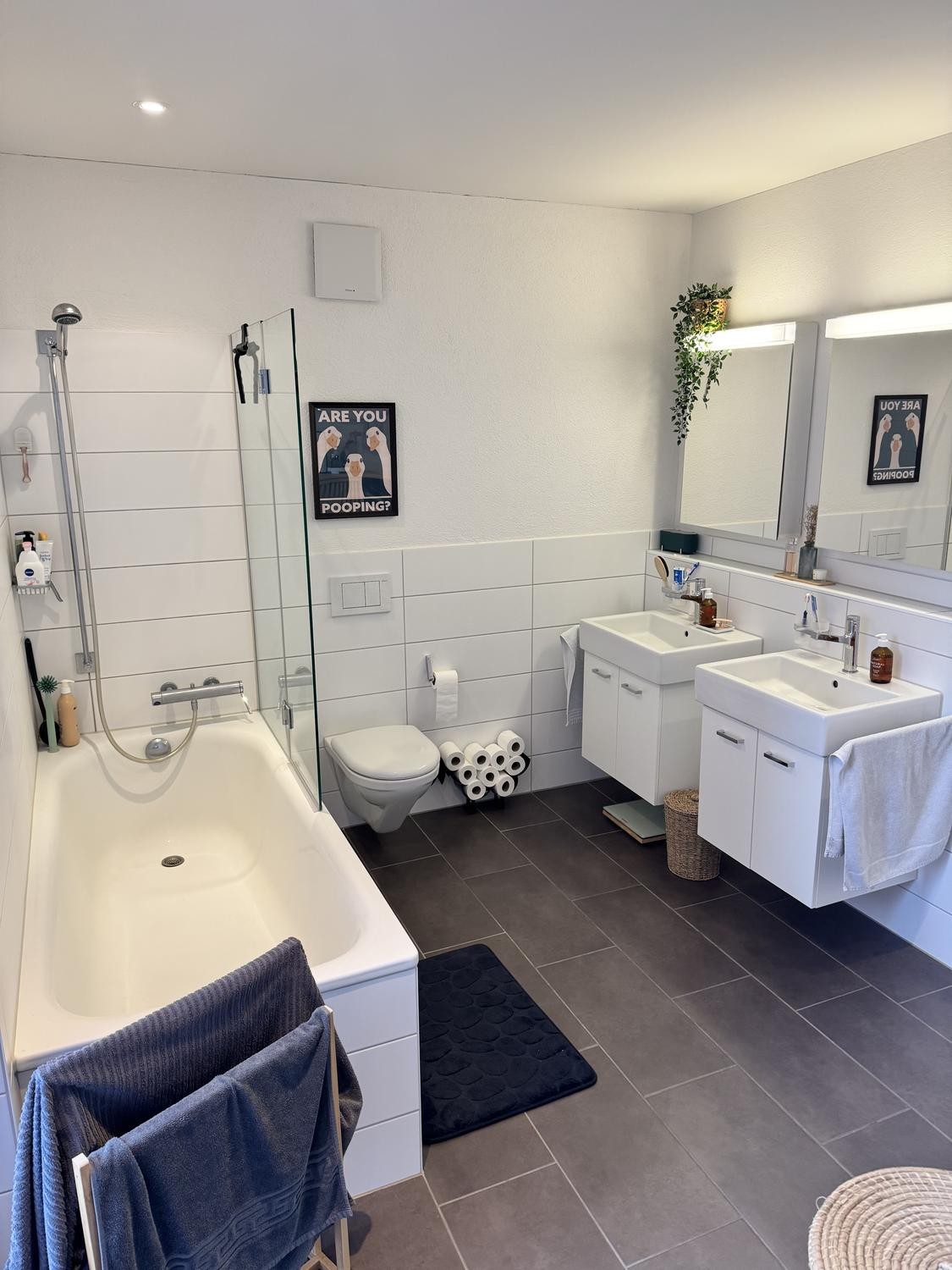 Appartement de 3 ½ pièces