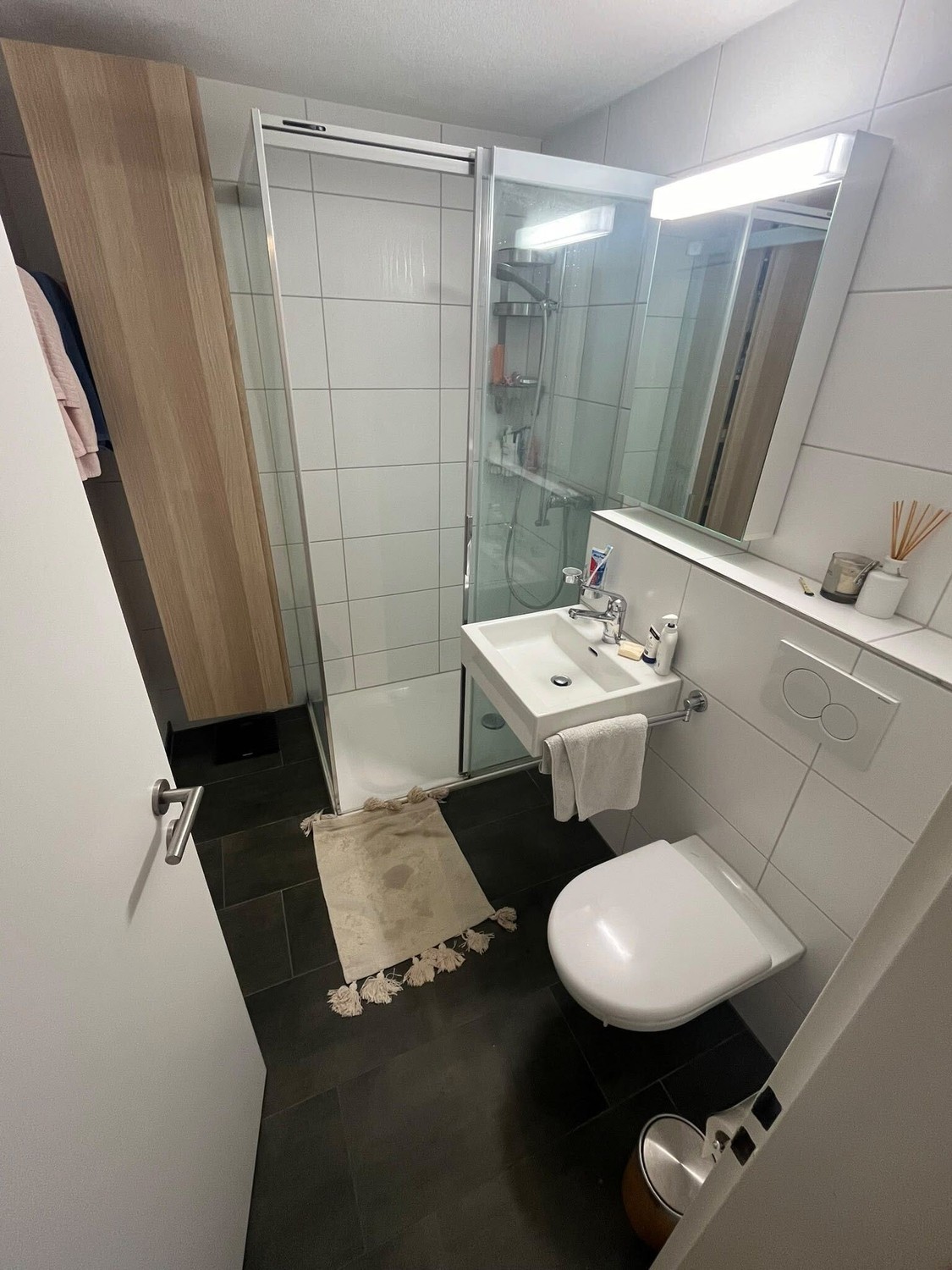 Appartement de 3 ½ pièces