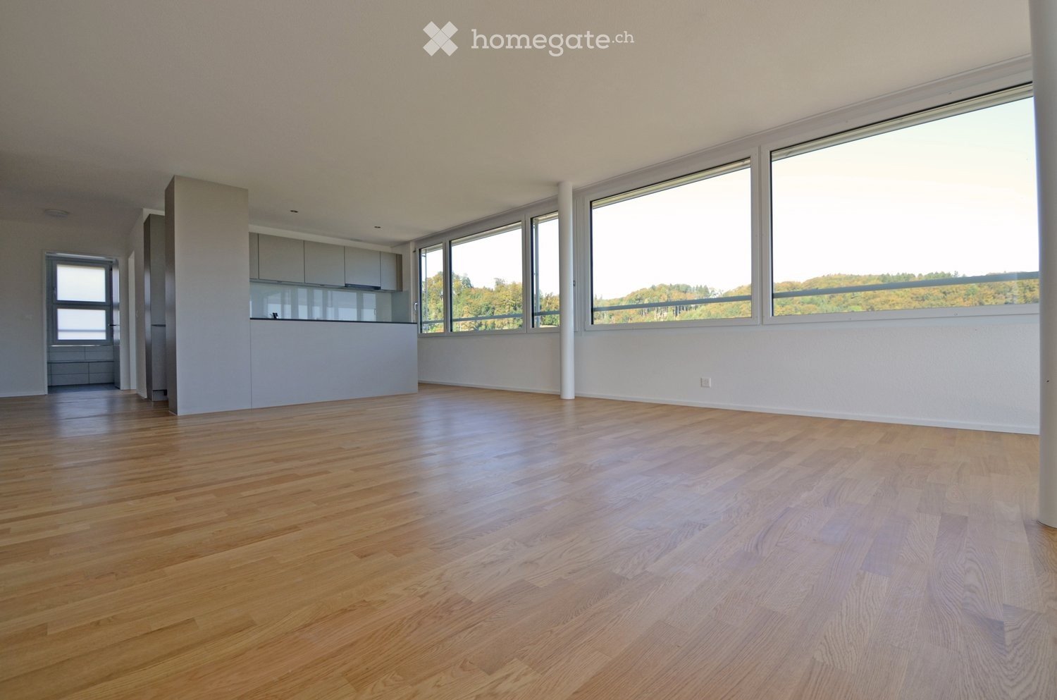 Appartement de 3 ½ pièces