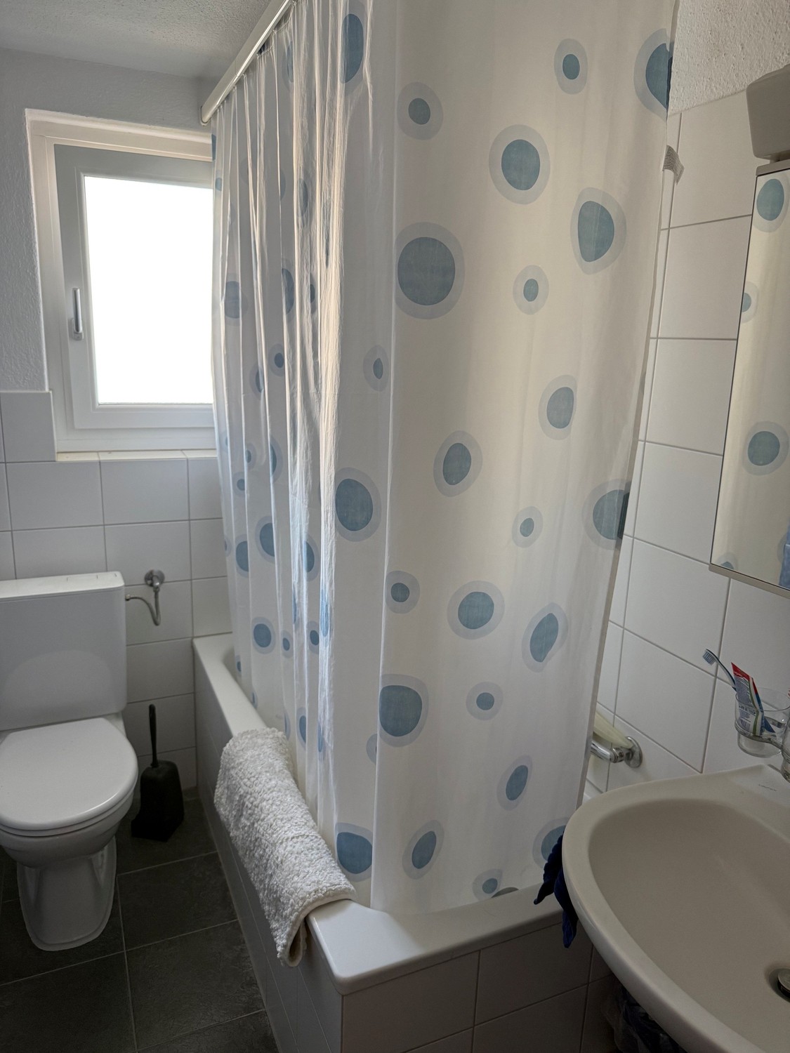 Appartement 1 pièce