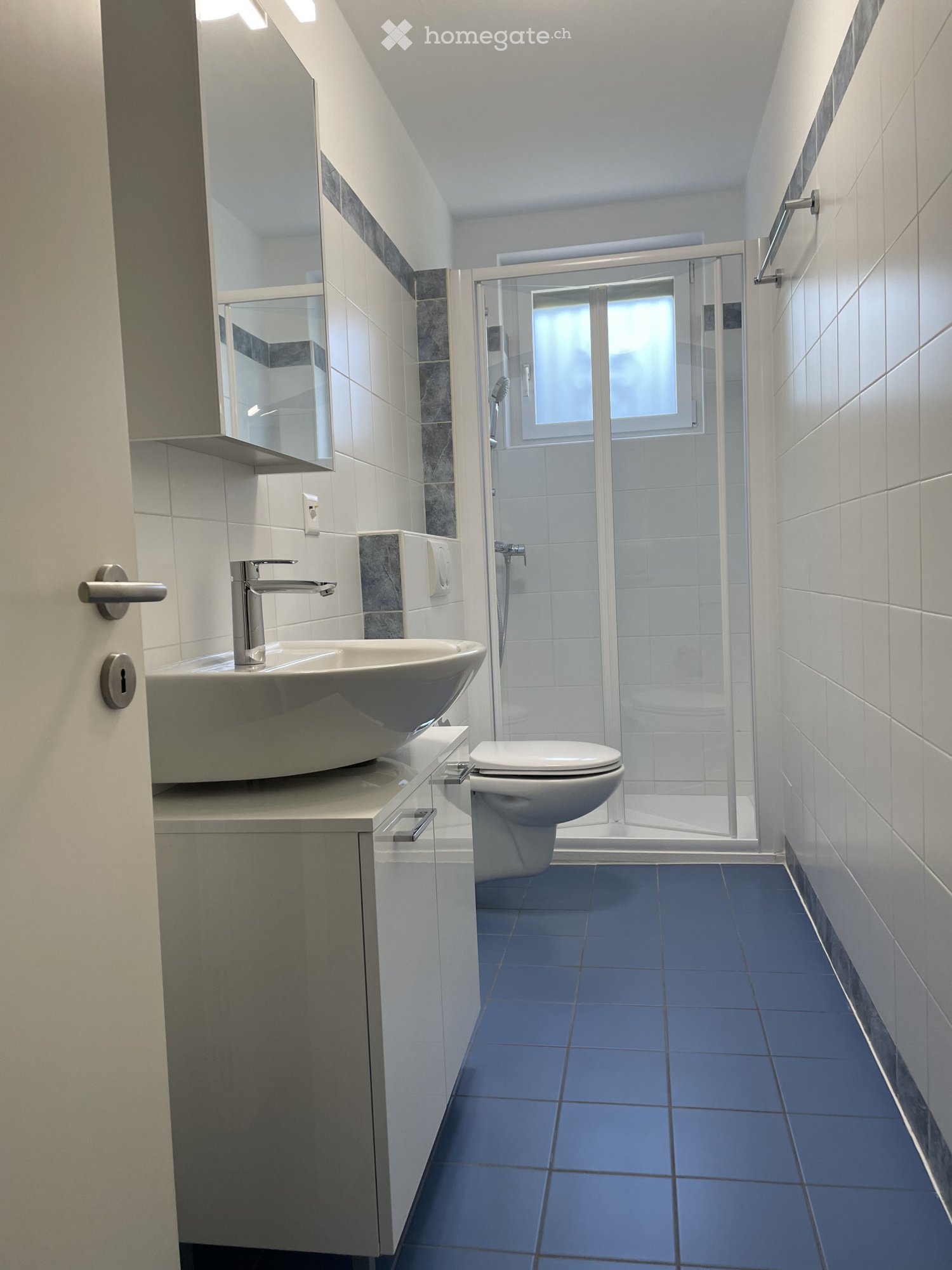 Grand appartement avec accès direct au jardin, à 100m de la gare et à 5 minutes du centre : cuisine/séjour avec cheminée, chambre, salle de bain avec douche, entrée + cave, place de parking extérieure et buanderie.   
Dernière rénovation 2023.   
Animaux non admis.   
Loyer mensuel appartement : CHF