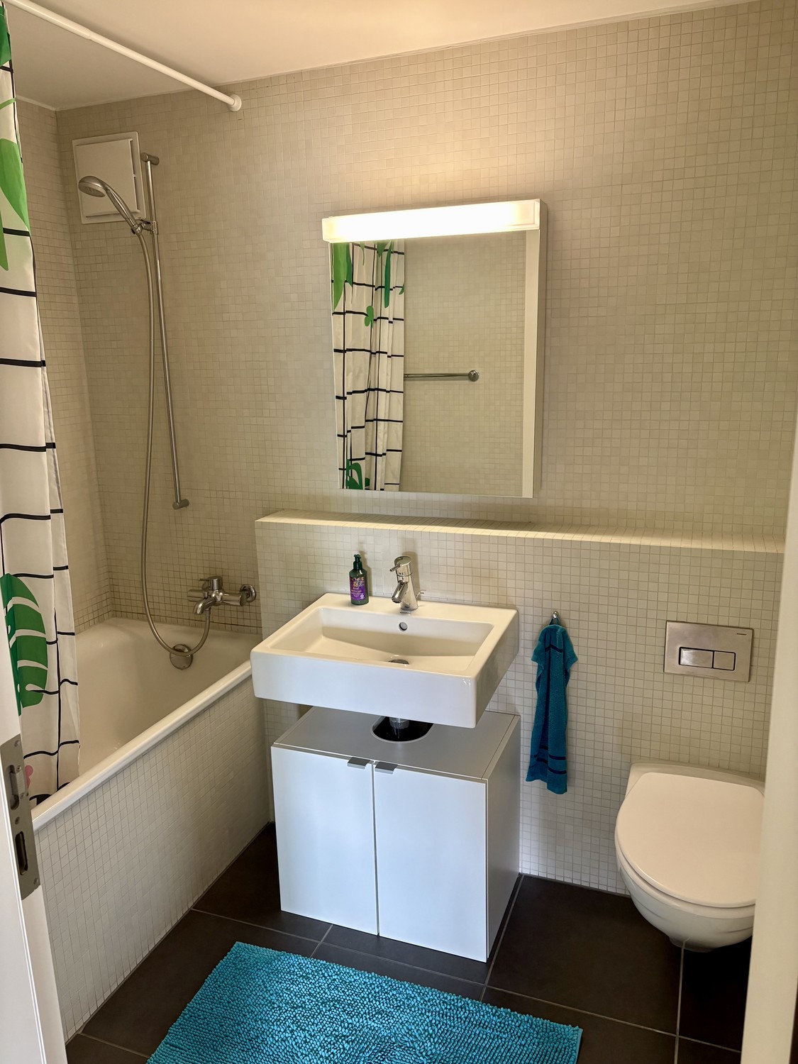 Appartement de 2 ½ pièces