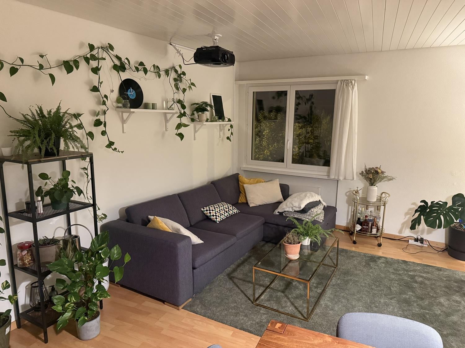 Zimmer in einer WG