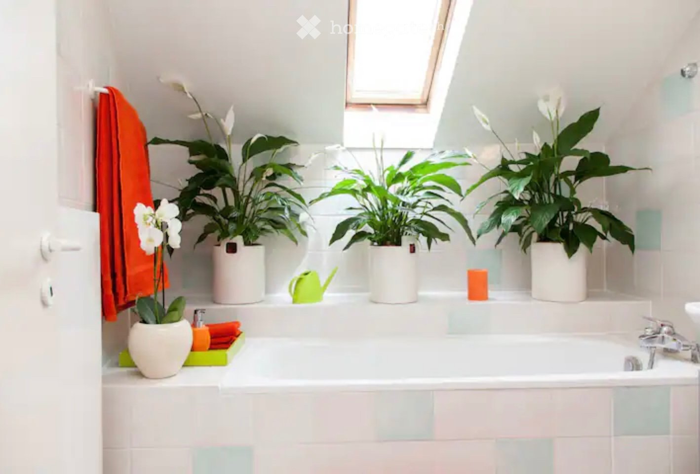 Appartement de 3 pièces

Appartement duplex en rooftop de 3,5 pièces, lumineux et entièrement meublé, au cœur de Genève, aux Eaux-Vives, à seulement 150 mètres du lac.
Situé au 7ème étage, l'appartement bénéficie d'une magnifique vue sur le lac et le Jet dEau.
- Spacieux salon avec un impressionnant, photo 3 sur 5