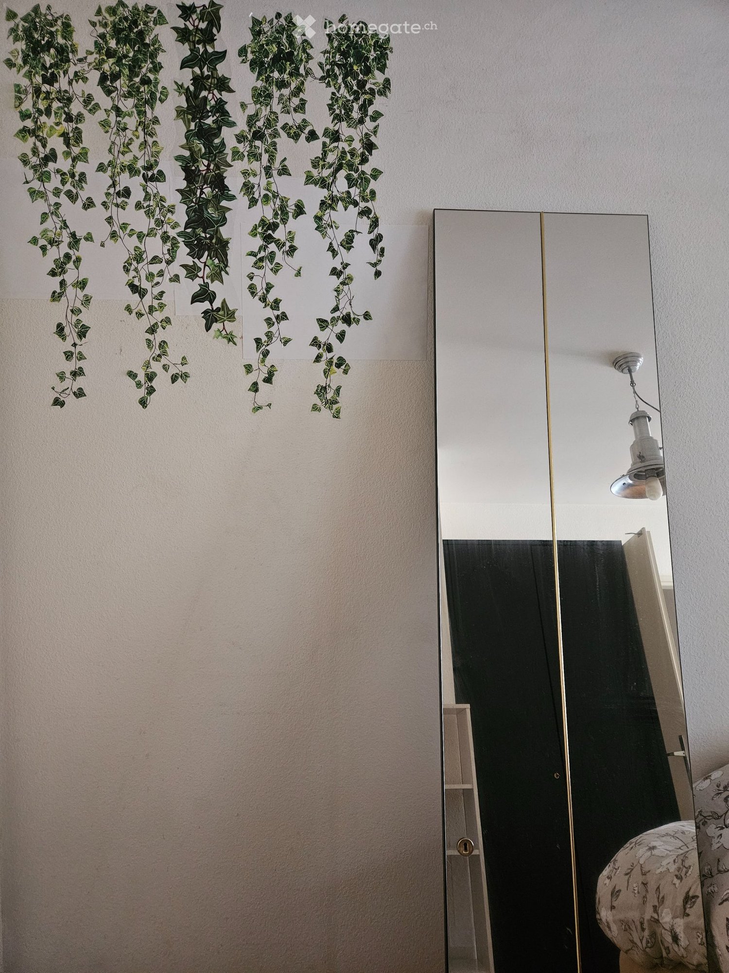 2 room single room, photo 4 sur 5