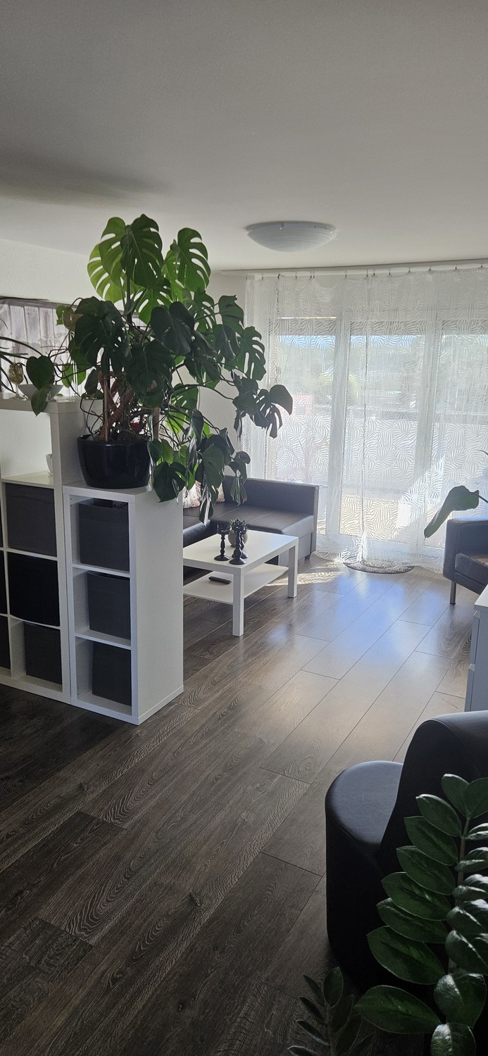 Appartement de 2 ½ pièces