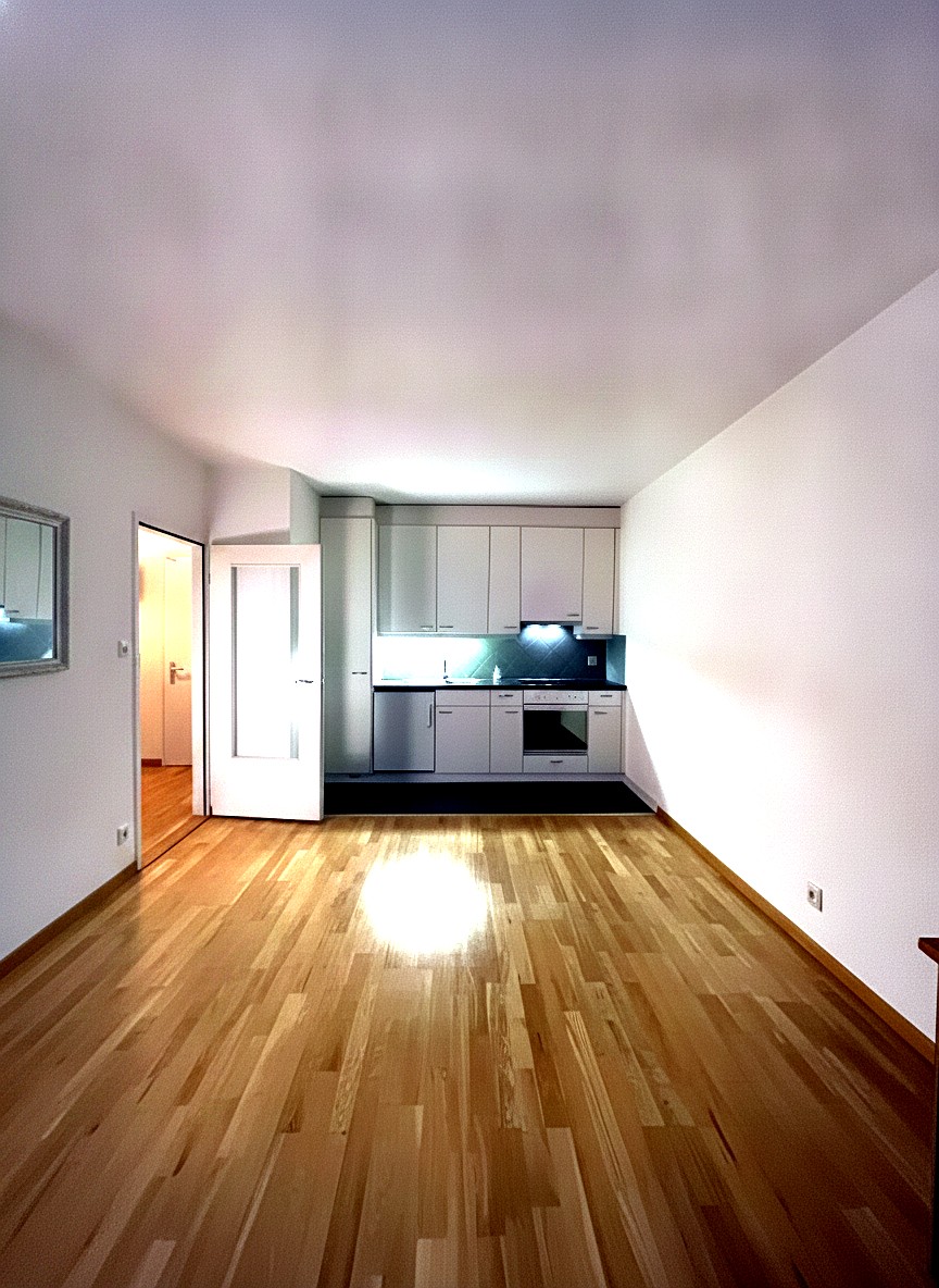 2 rooms apartment, photo 3 sur 4