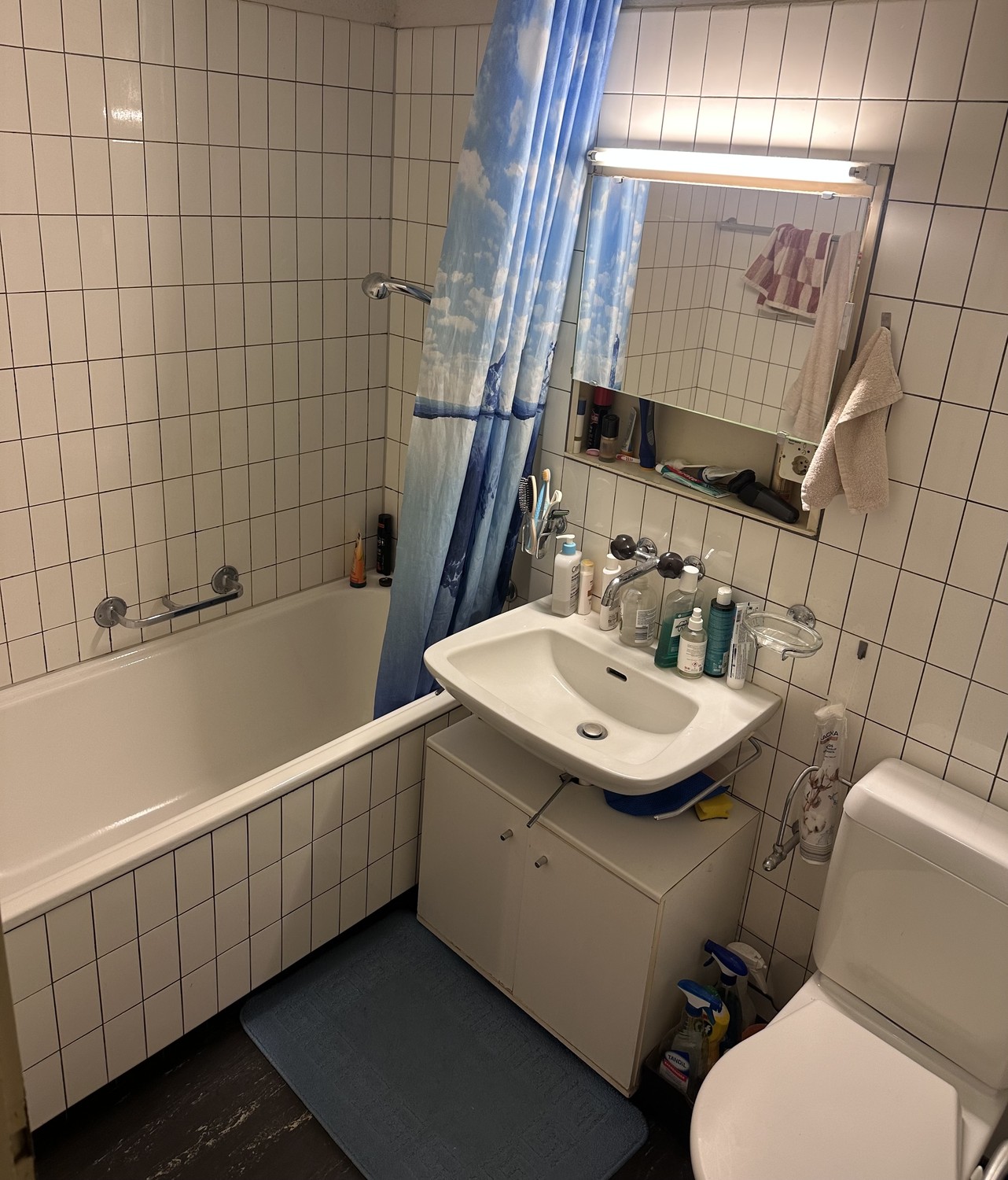 Appartement d'une pièce