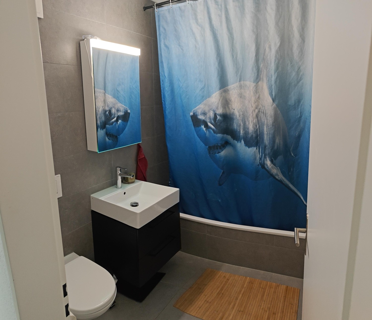 3 ½ rooms apartment