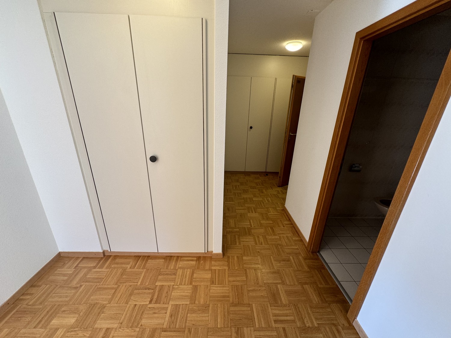 2 ½ rooms apartment, photo 3 sur 6