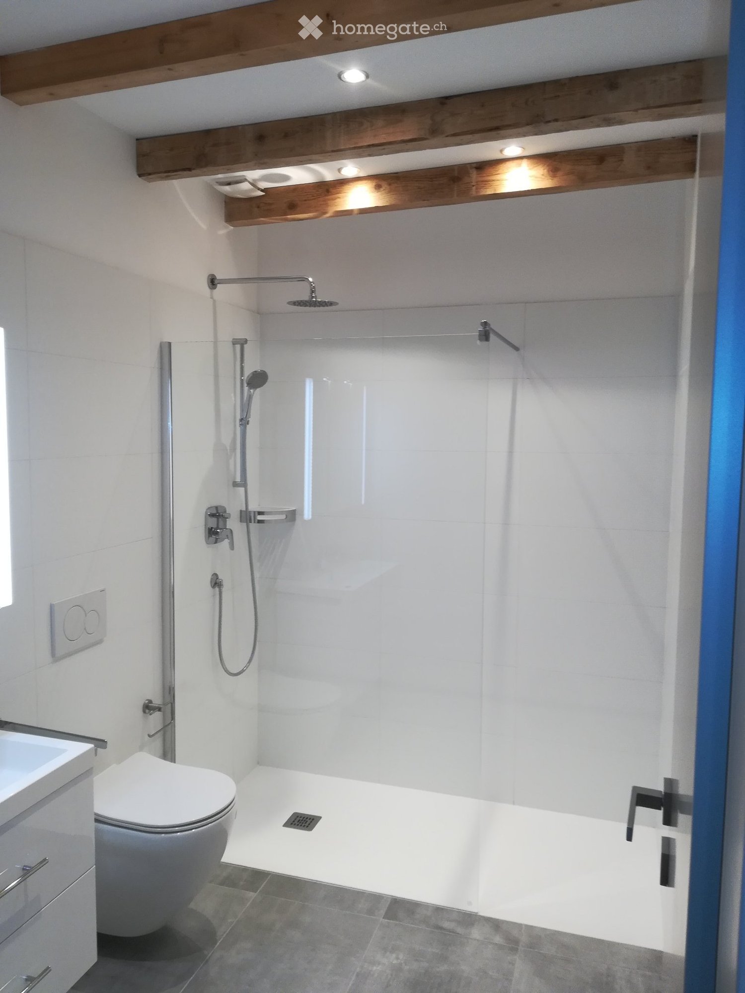 Appartement de 3 ½ pièces