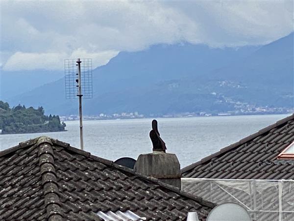 3 pièces appartement
