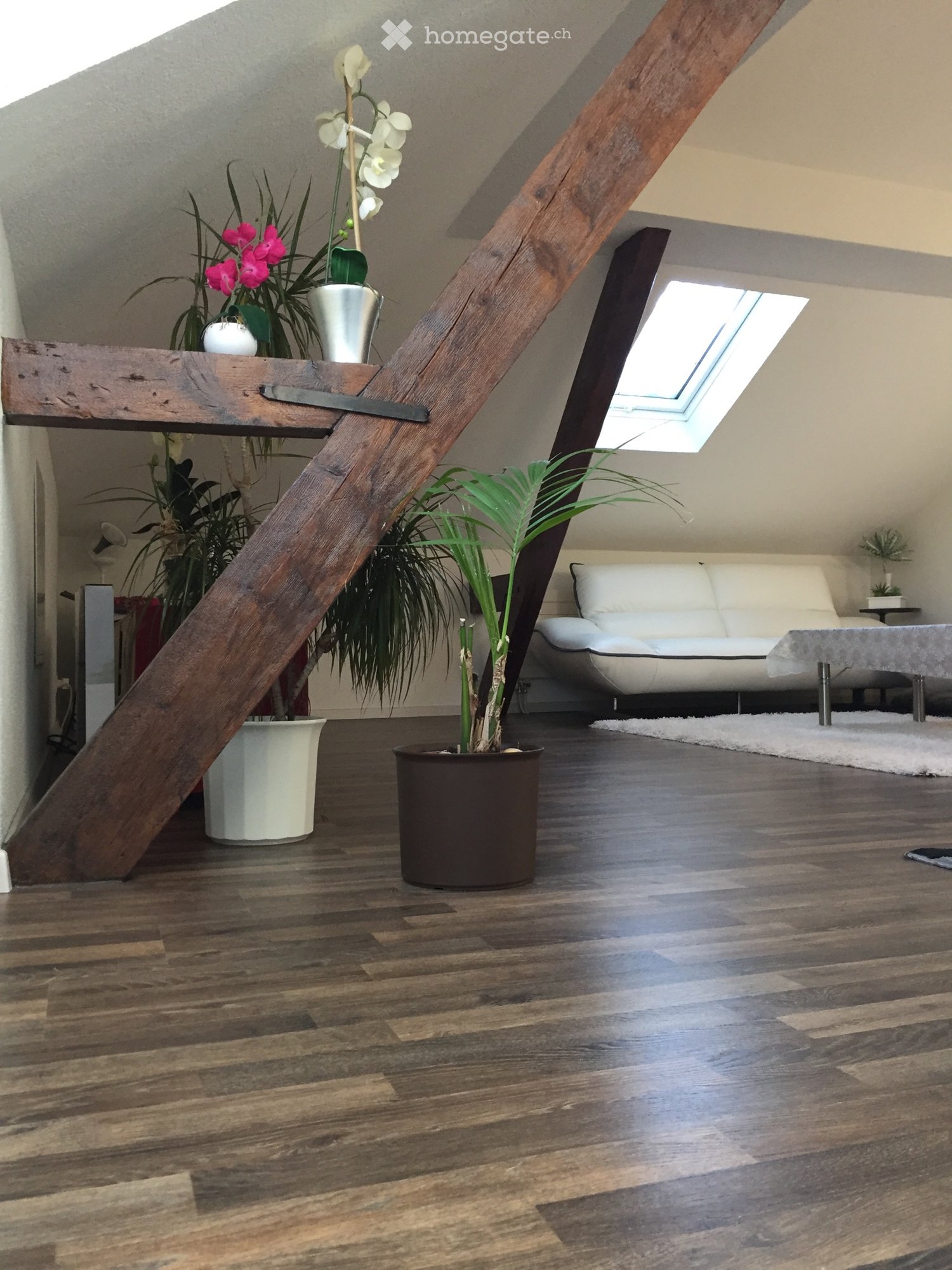 Appartement de 3 pièces, photo 3 sur 5