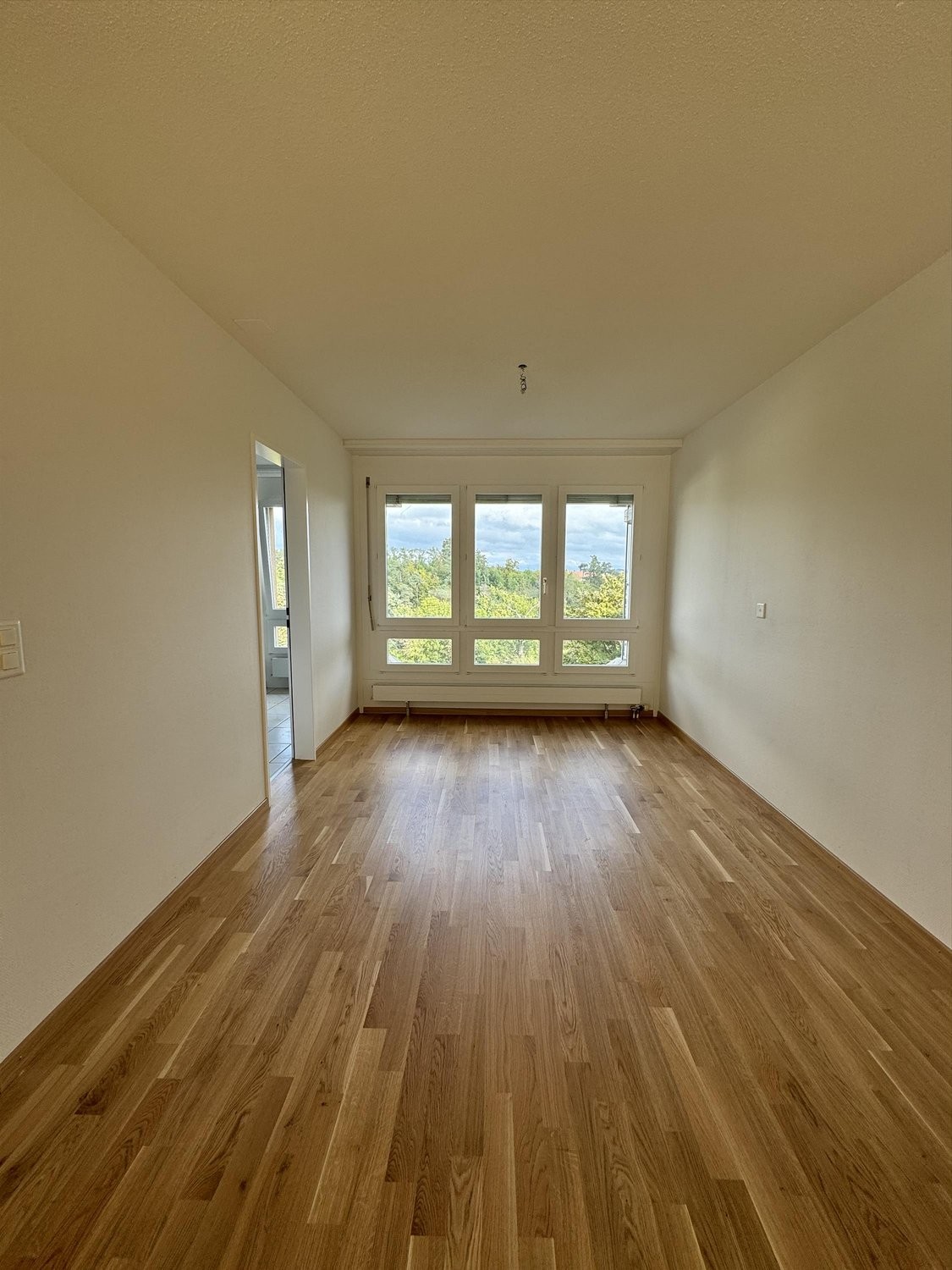 4 ½ Zimmer Wohnung