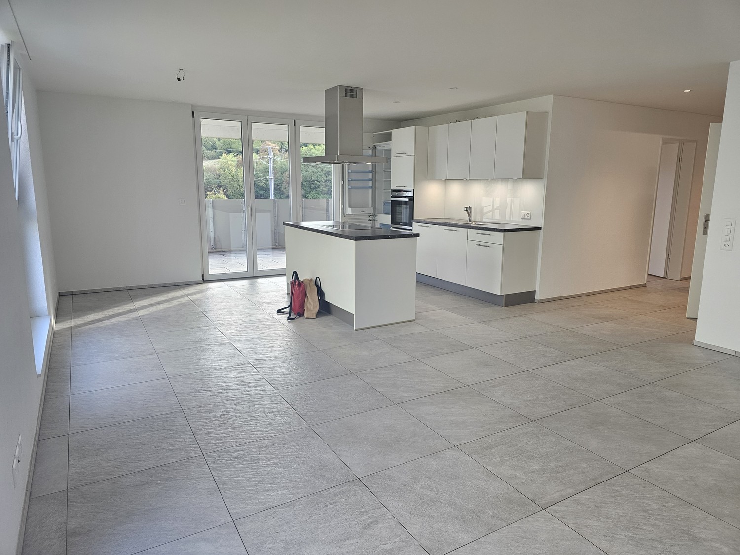 Appartement de 3 ½ pièces