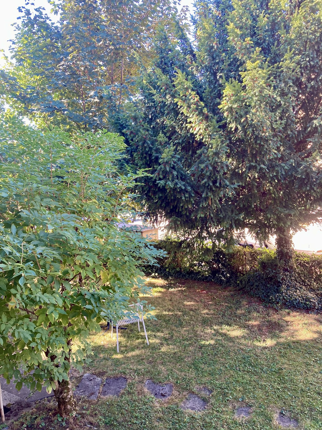 Appartement de 1 ½ pièces
