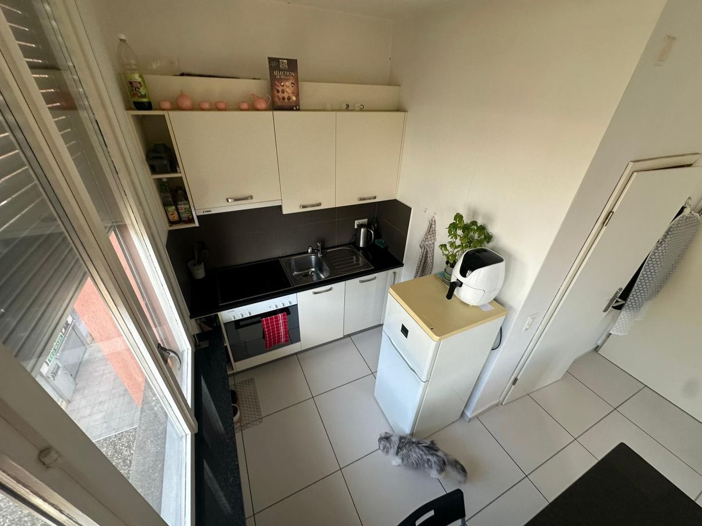 Appartement 1 ½ pièces