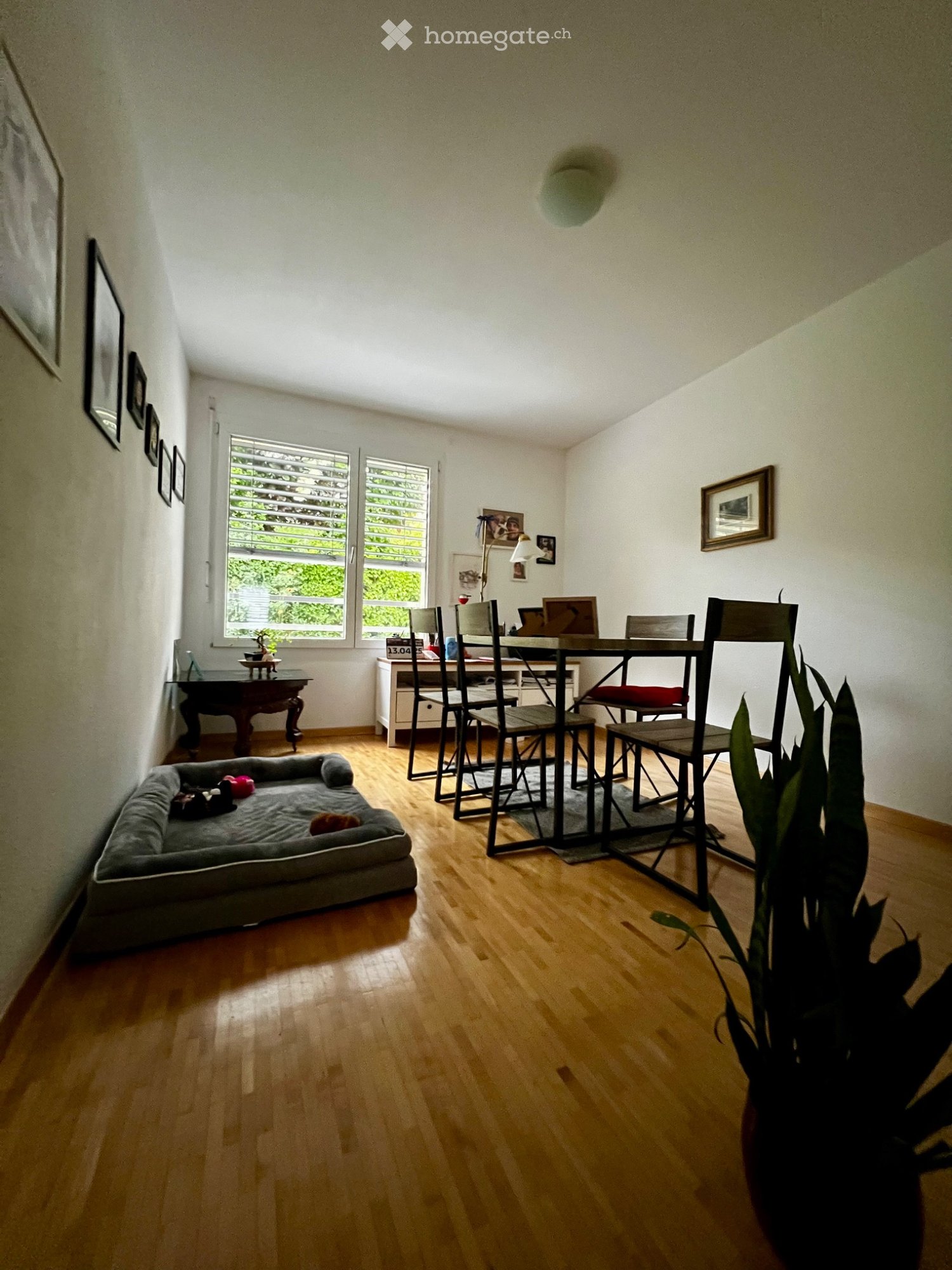 4 ½ rooms apartment