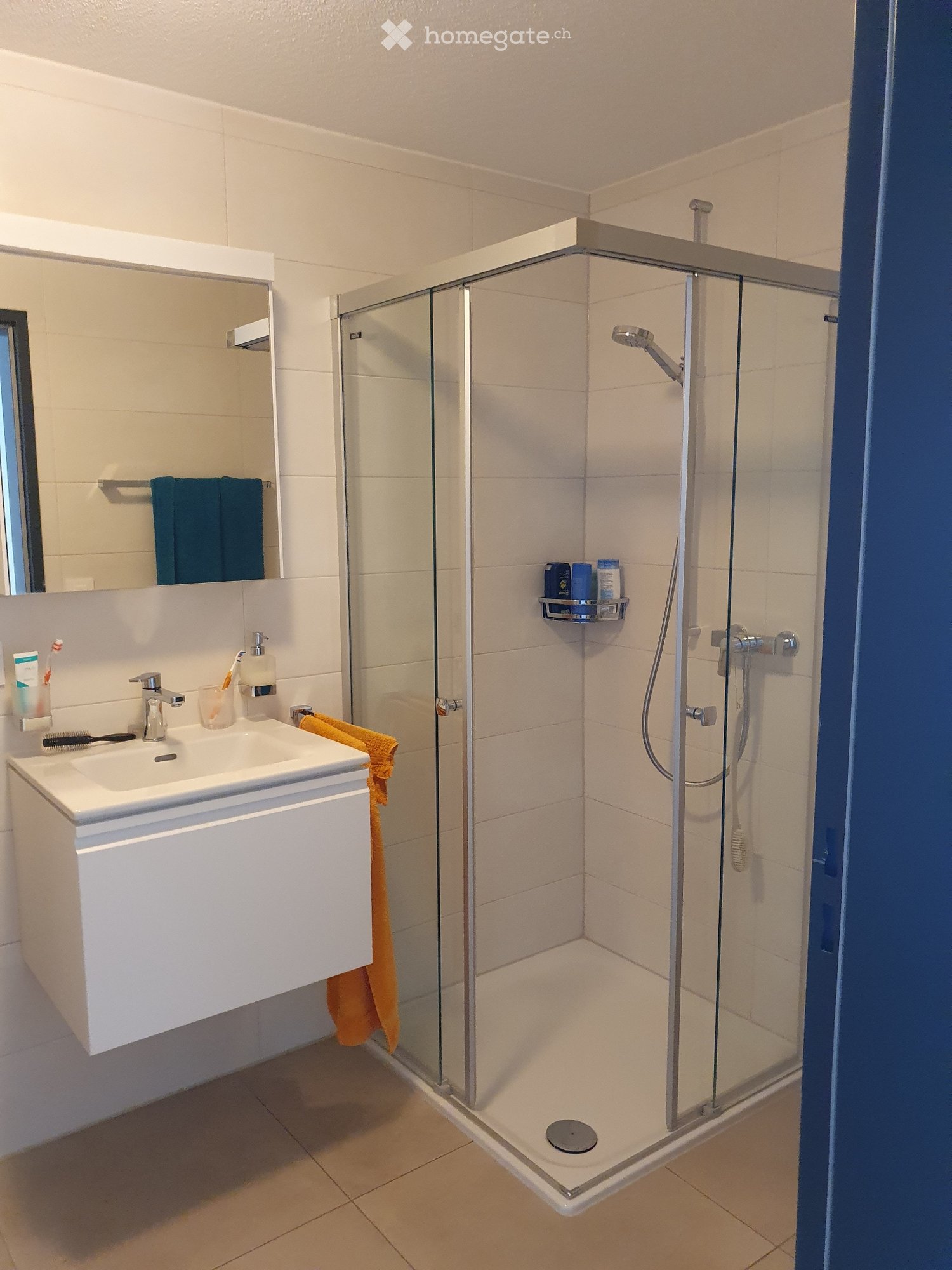 4 ½ rooms apartment