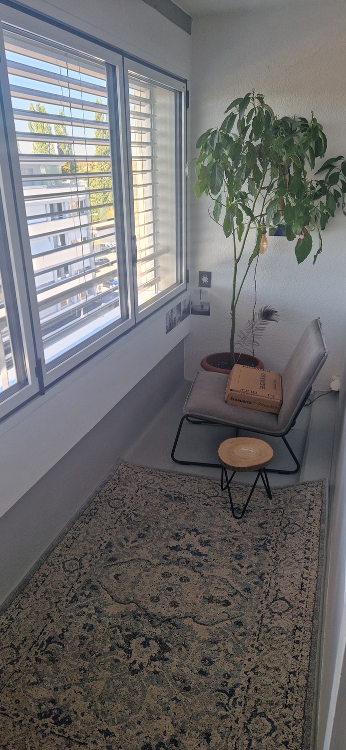 Appartamento di 2 ½ locali
