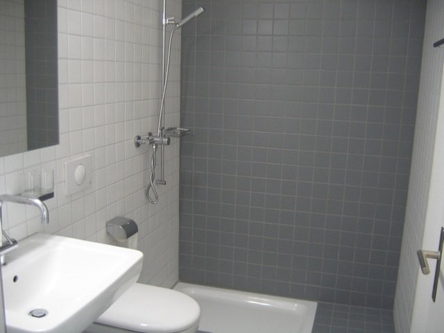 3 ½ pièces appartement mansardé