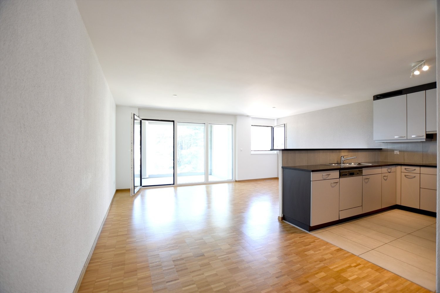 4 ½ rooms apartment, photo 3 sur 9