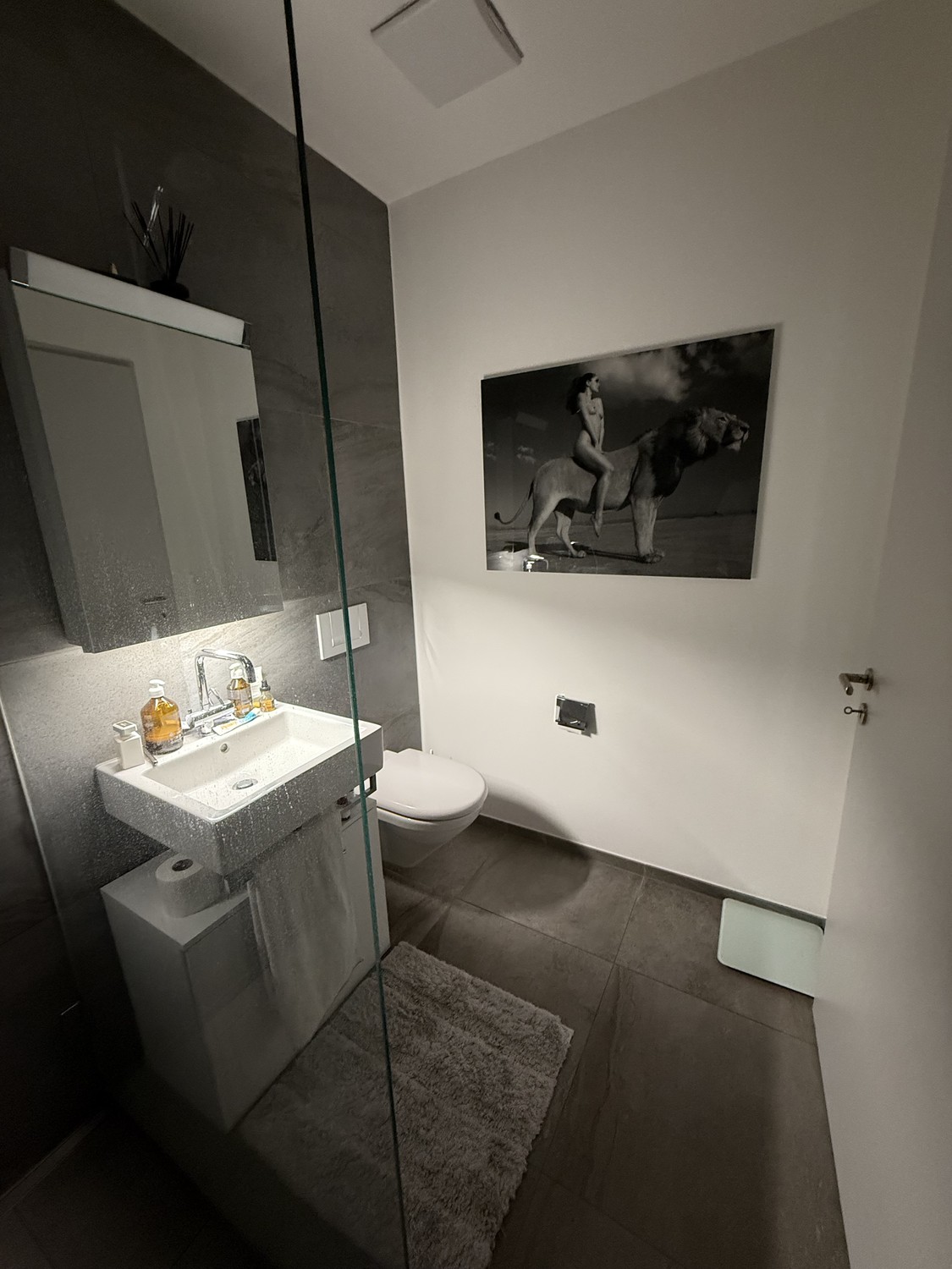 Appartement de 2 ½ pièces, photo 10 sur 10