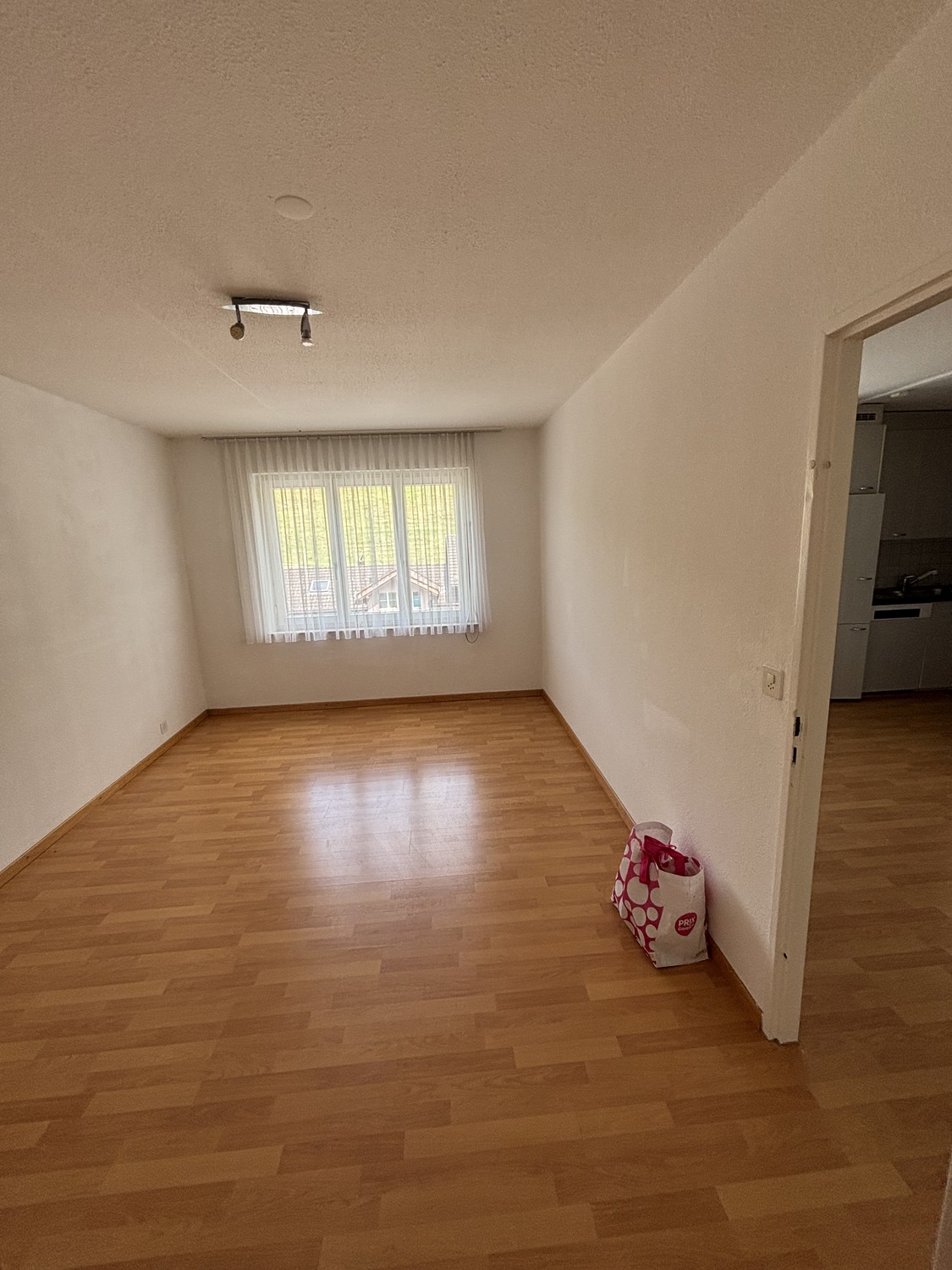 Appartement de 3 ½ pièces