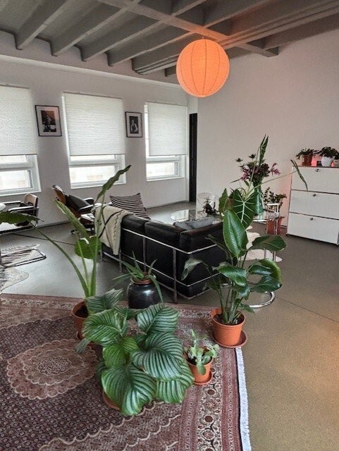 1 rooms apartment, photo 4 sur 7