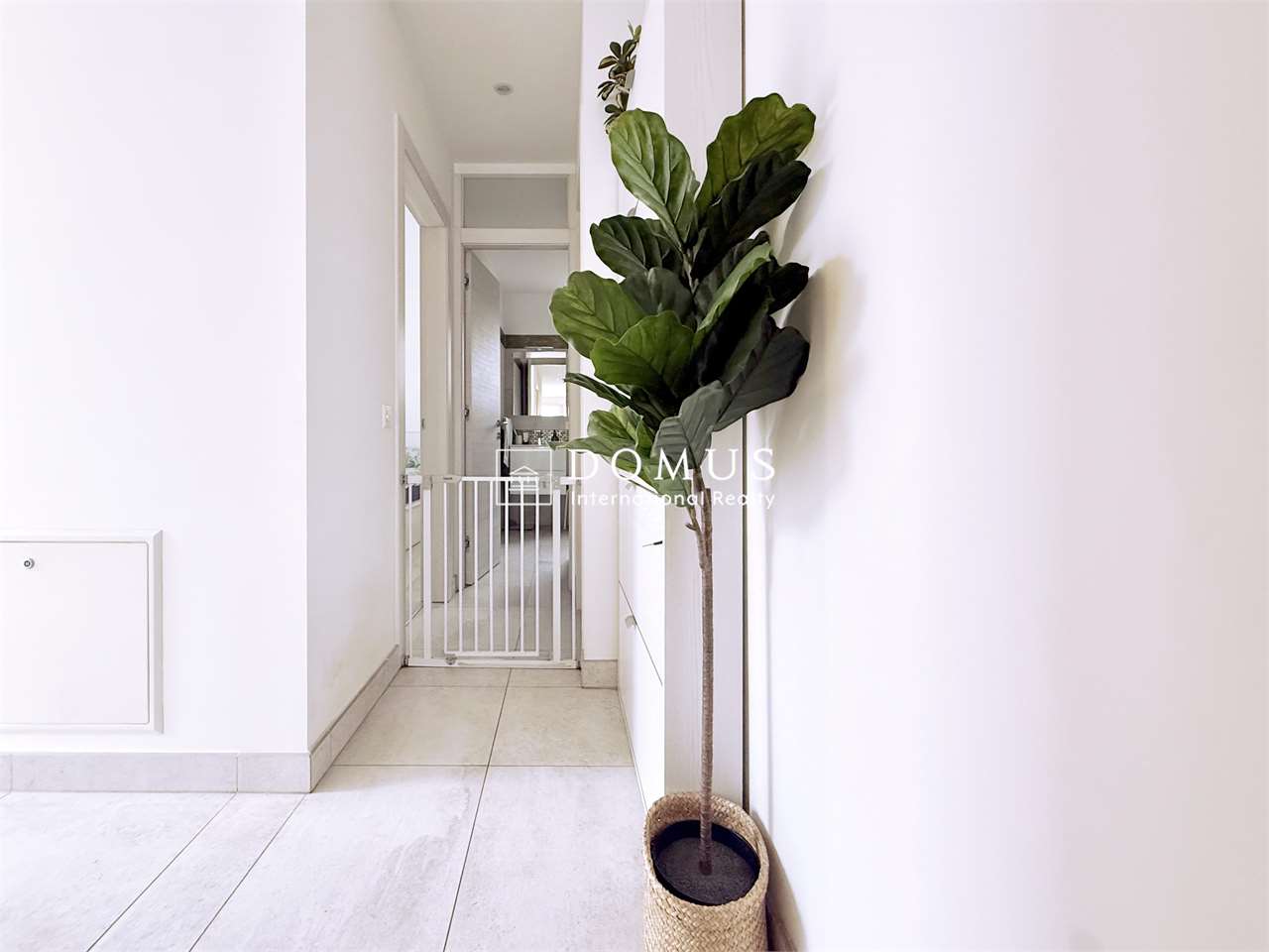 3 ½ rooms apartment, photo 4 sur 8