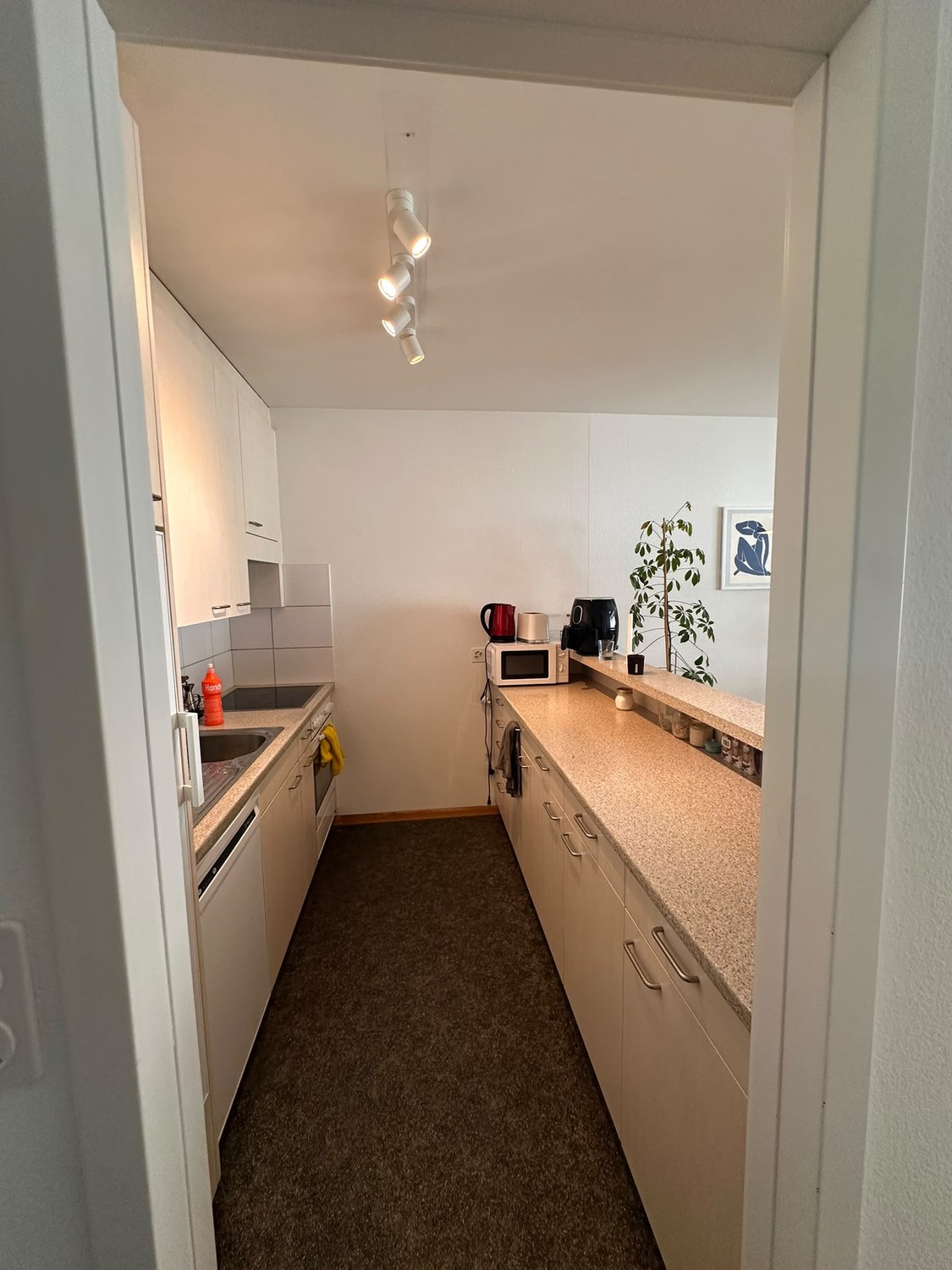 Chambre en colocation